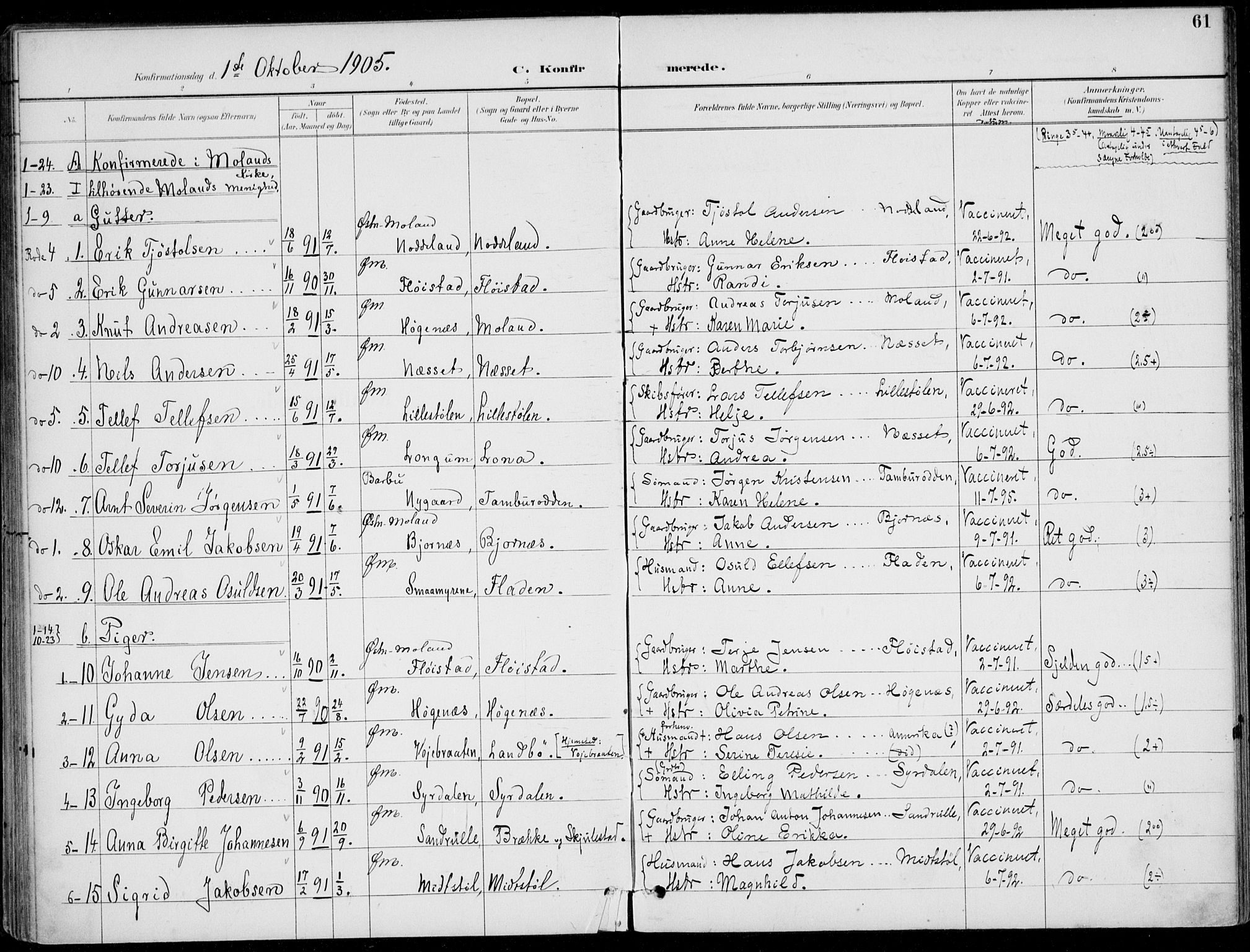 Austre Moland sokneprestkontor, SAK/1111-0001/F/Fa/Faa/L0011: Parish register (official) no. A 11, 1894-1915, p. 61