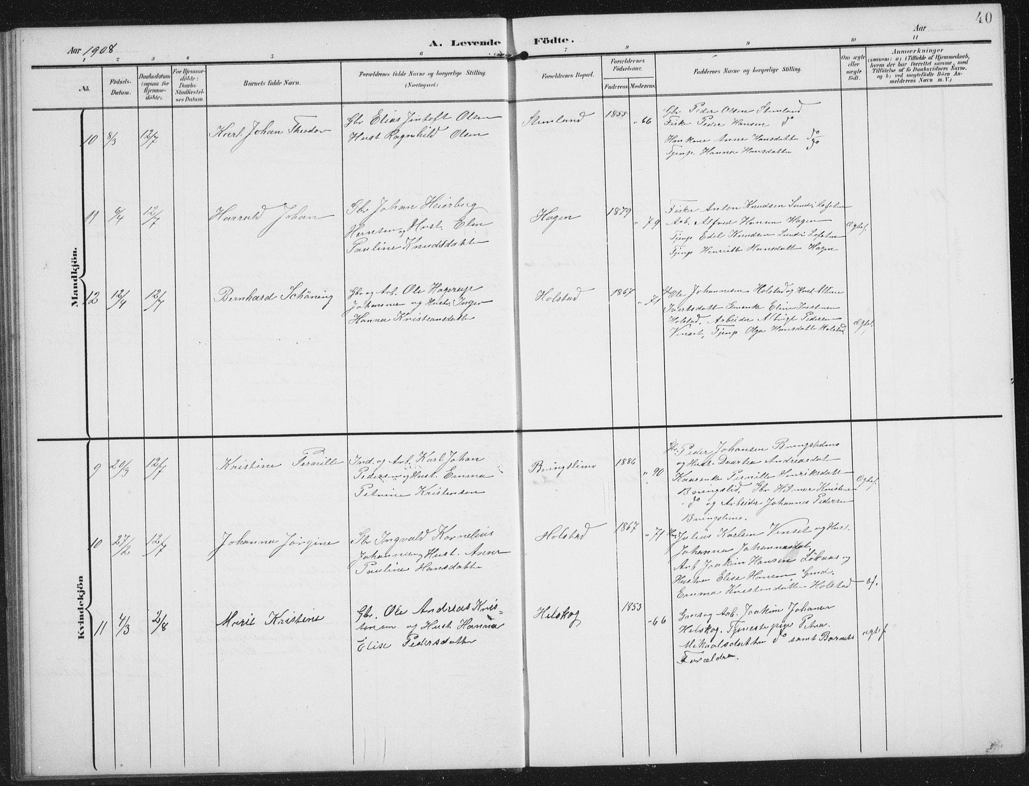 Ministerialprotokoller, klokkerbøker og fødselsregistre - Nordland, AV/SAT-A-1459/851/L0726: Parish register (copy) no. 851C01, 1902-1924, p. 40