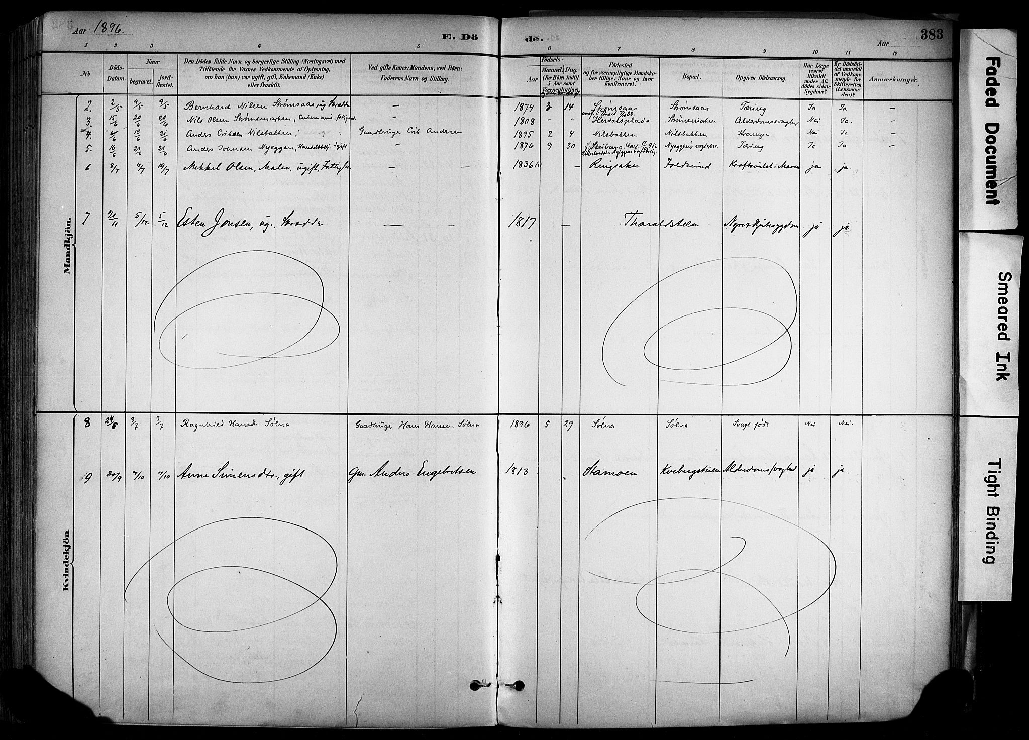 Alvdal prestekontor, SAH/PREST-060/H/Ha/Haa/L0002: Parish register (official) no. 2, 1883-1906, p. 383