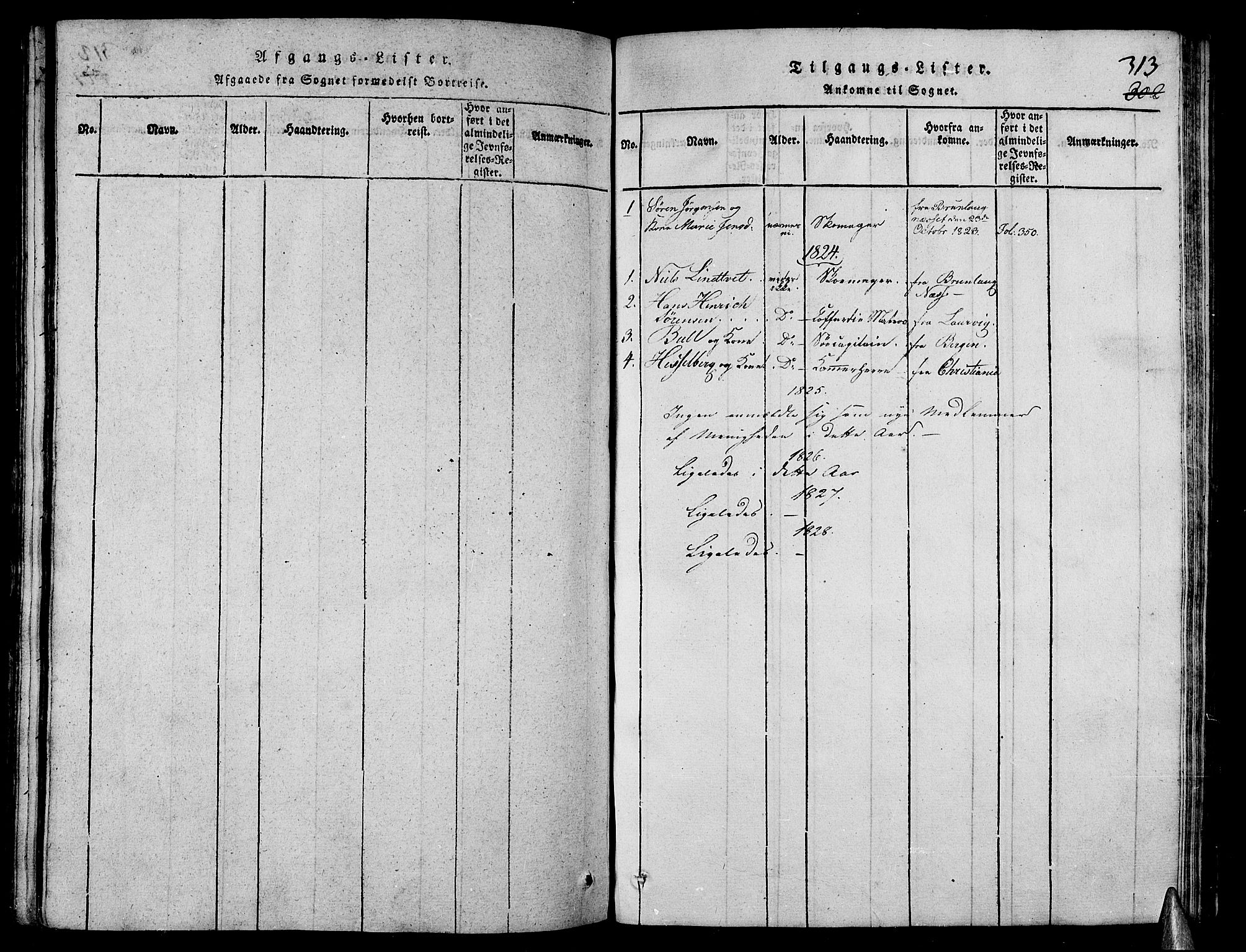 Stavern kirkebøker, SAKO/A-318/G/Ga/L0001: Parish register (copy) no. 1, 1817-1841, p. 313