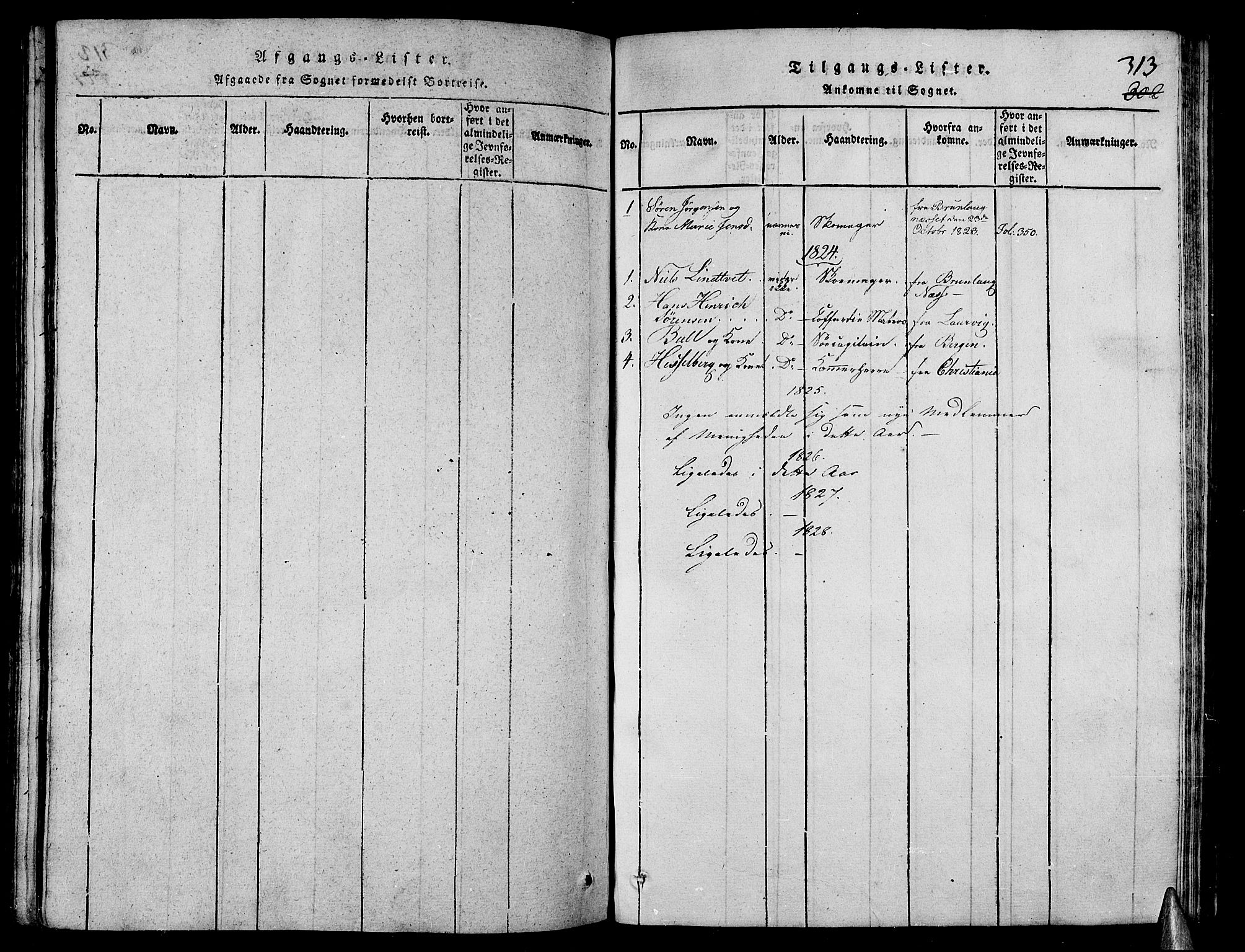 Stavern kirkebøker, AV/SAKO-A-318/G/Ga/L0001: Parish register (copy) no. 1, 1817-1841, p. 313