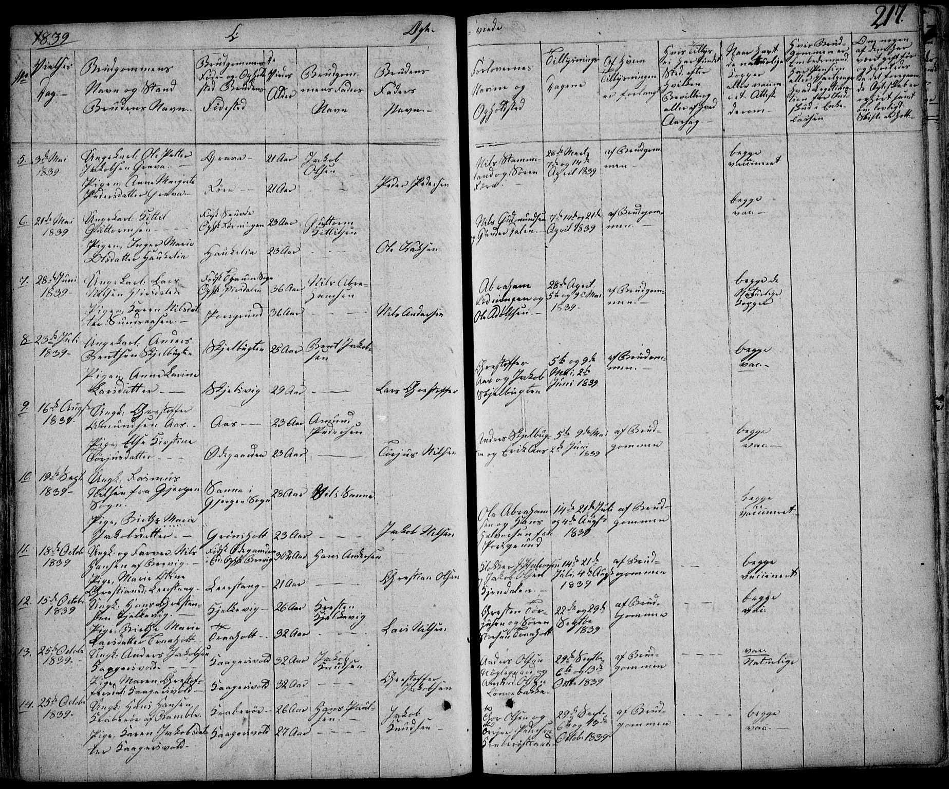 Eidanger kirkebøker, AV/SAKO-A-261/F/Fa/L0008: Parish register (official) no. 8, 1831-1858, p. 217