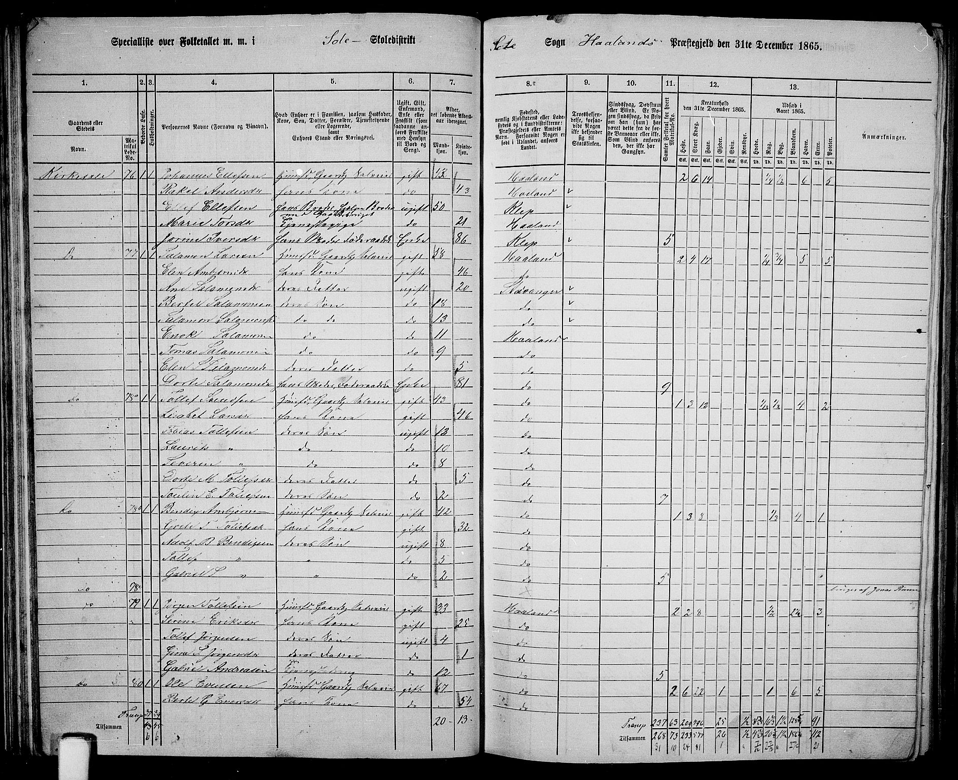 RA, 1865 census for Håland, 1865, p. 43