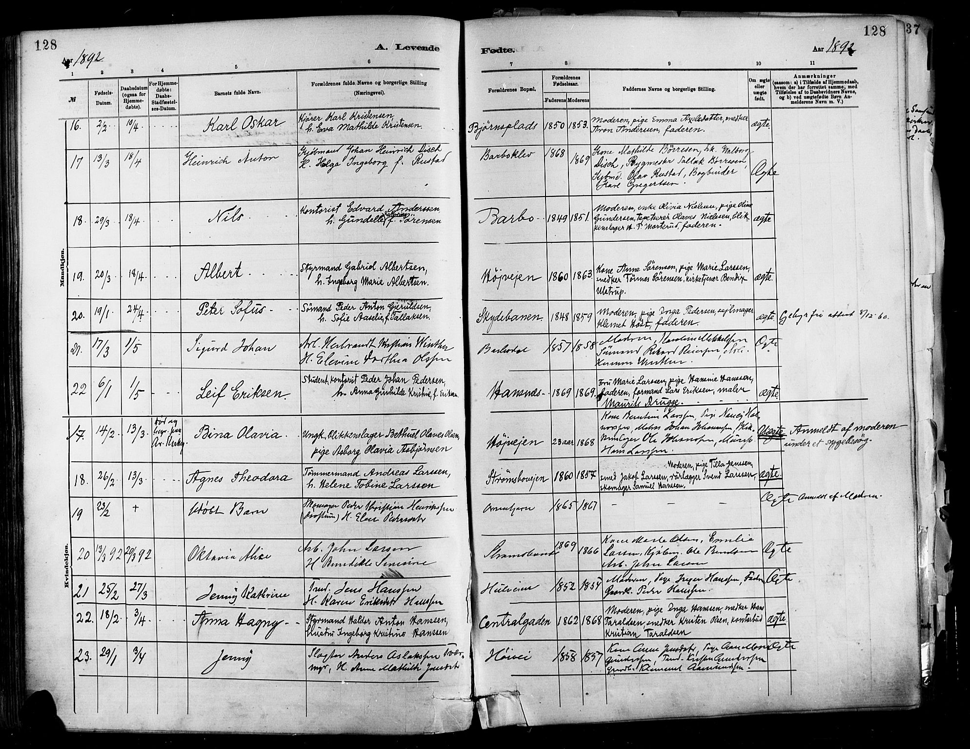 Barbu sokneprestkontor, AV/SAK-1111-0003/F/Fa/L0002: Parish register (official) no. A 2, 1883-1898, p. 128