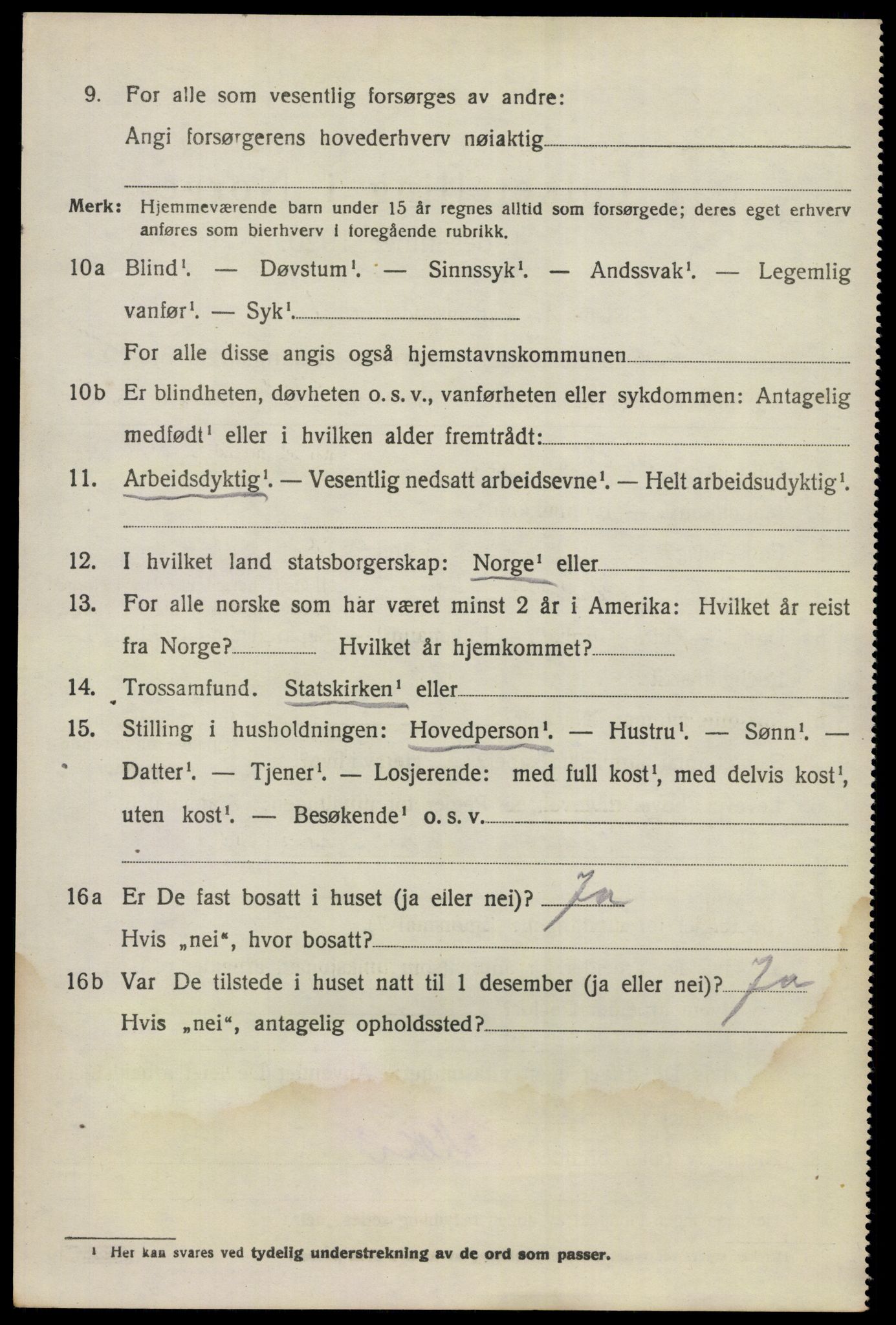 SAKO, 1920 census for Nes (Buskerud), 1920, p. 5197