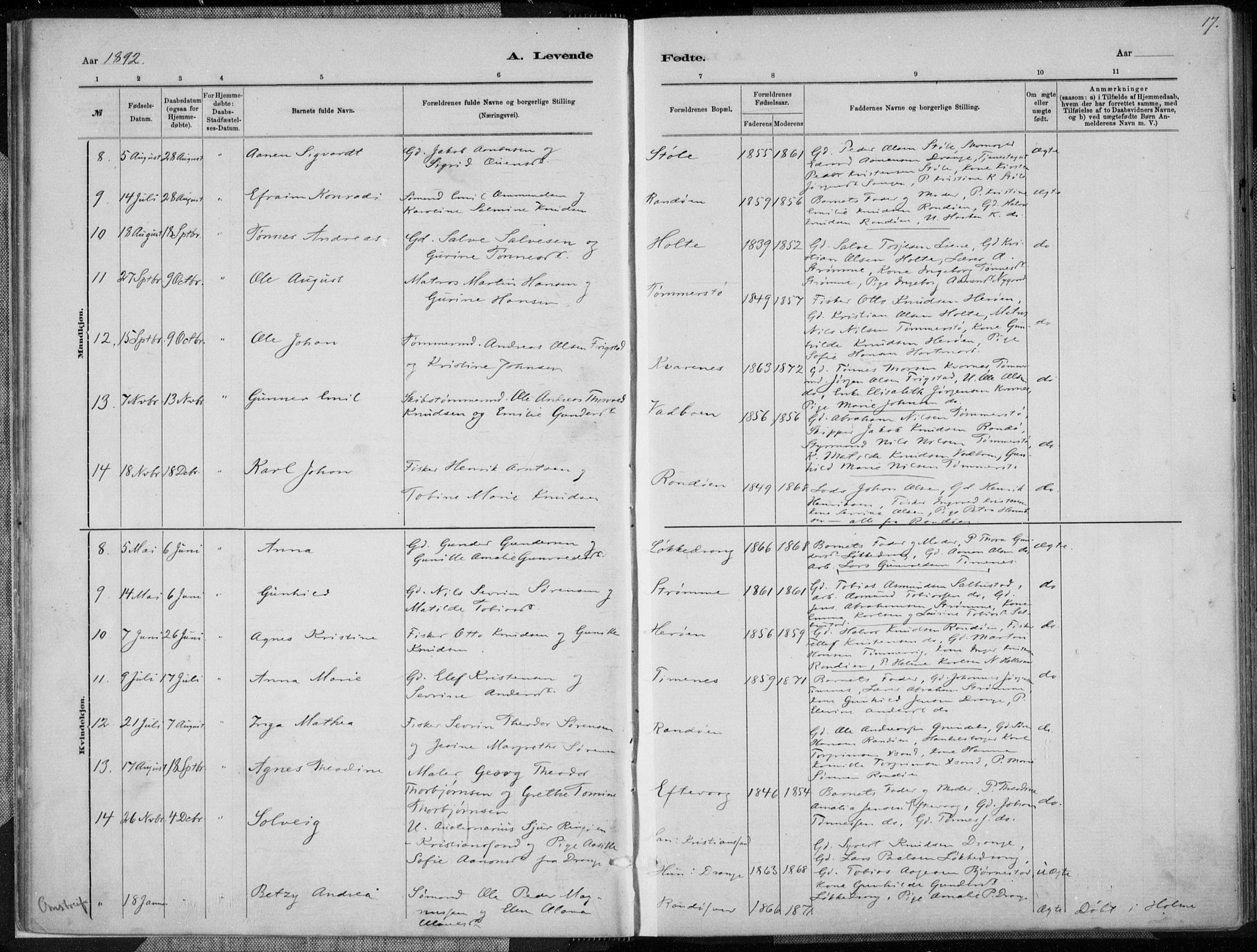 Oddernes sokneprestkontor, SAK/1111-0033/F/Fa/Fab/L0002: Parish register (official) no. A 2, 1884-1903, p. 17