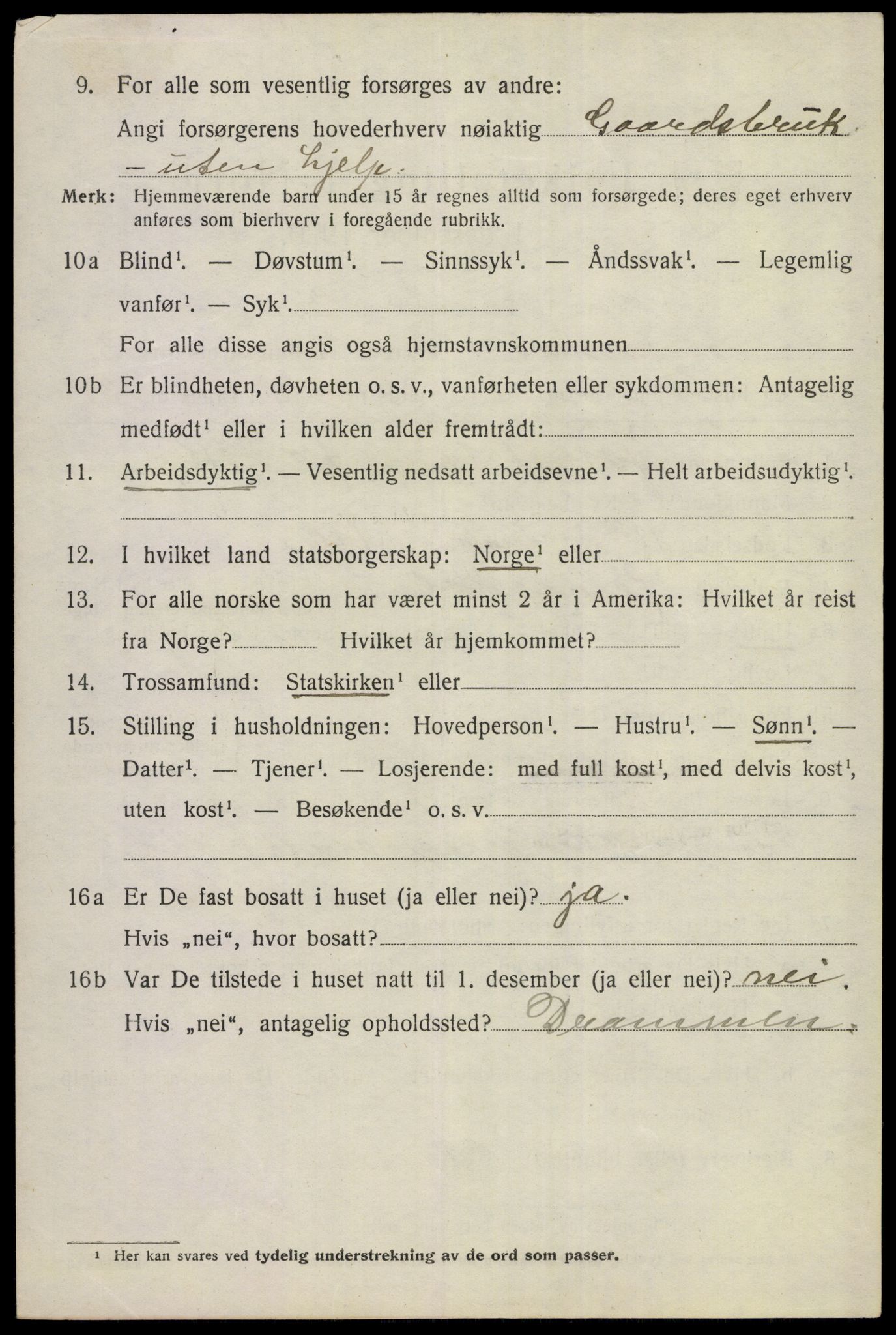 SAKO, 1920 census for Hemsedal, 1920, p. 991