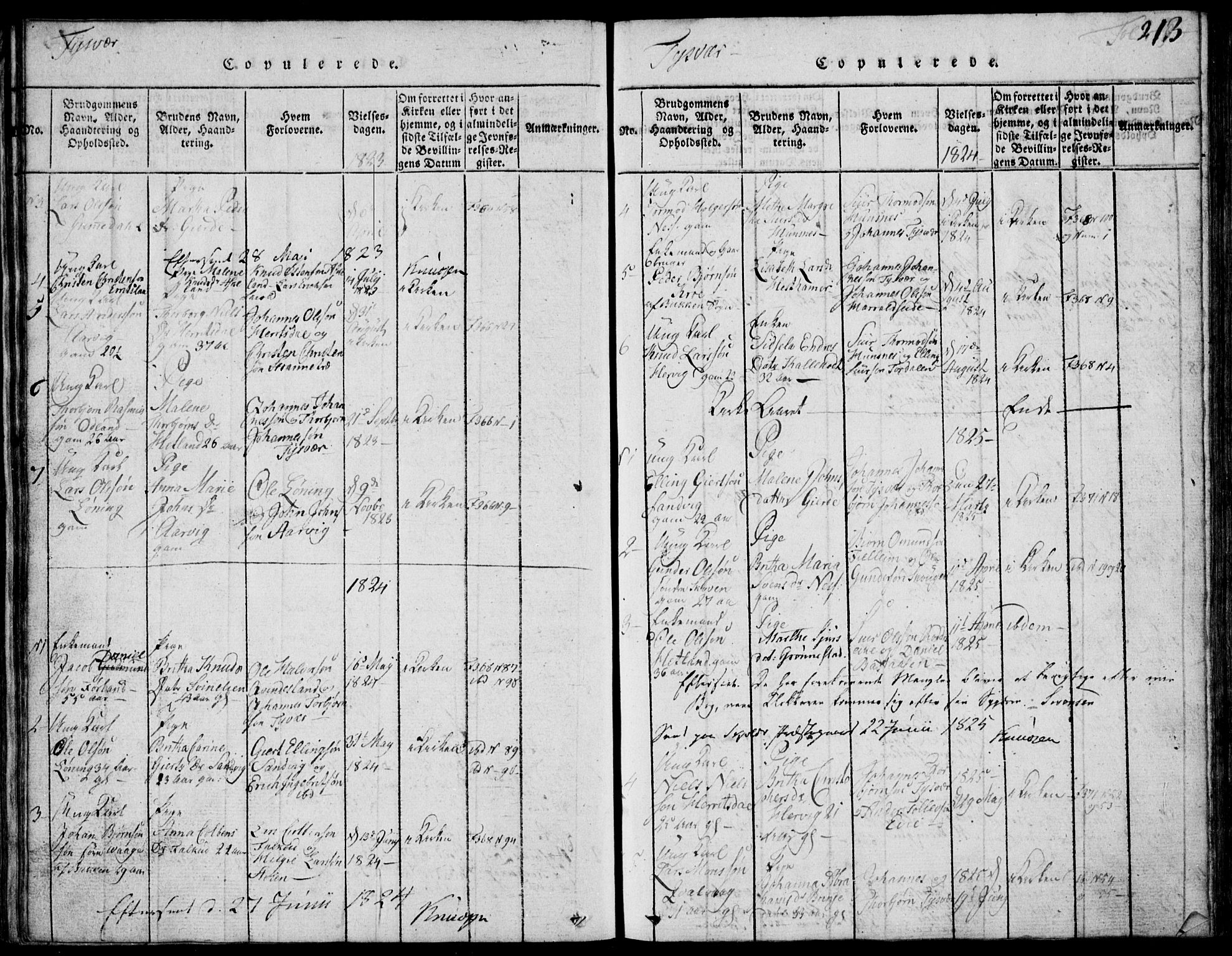 Skjold sokneprestkontor, SAST/A-101847/H/Ha/Hab/L0002: Parish register (copy) no. B 2 /1, 1815-1830, p. 213