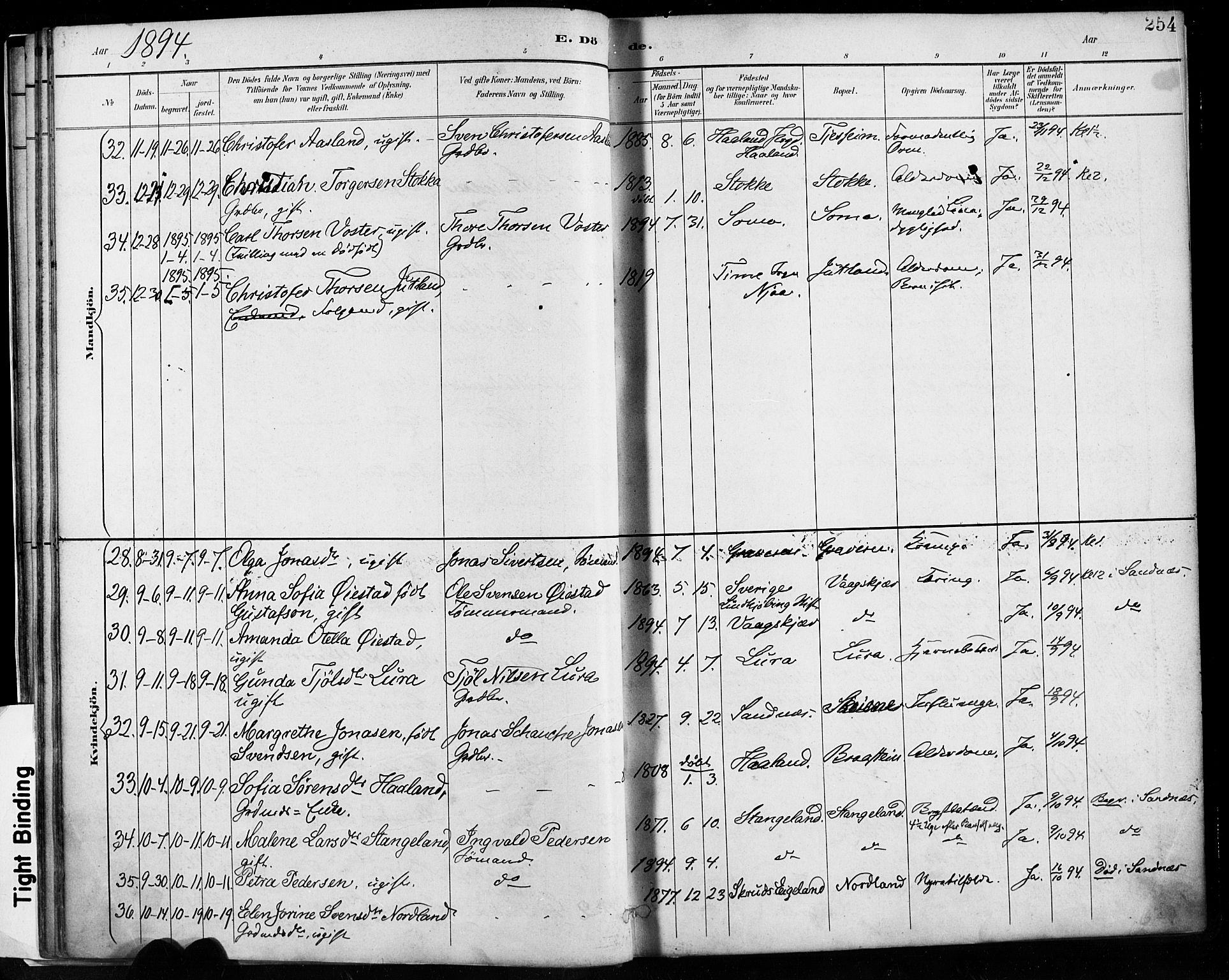 Høyland sokneprestkontor, SAST/A-101799/001/30BA/L0013: Parish register (official) no. A 13.2, 1889-1898, p. 254