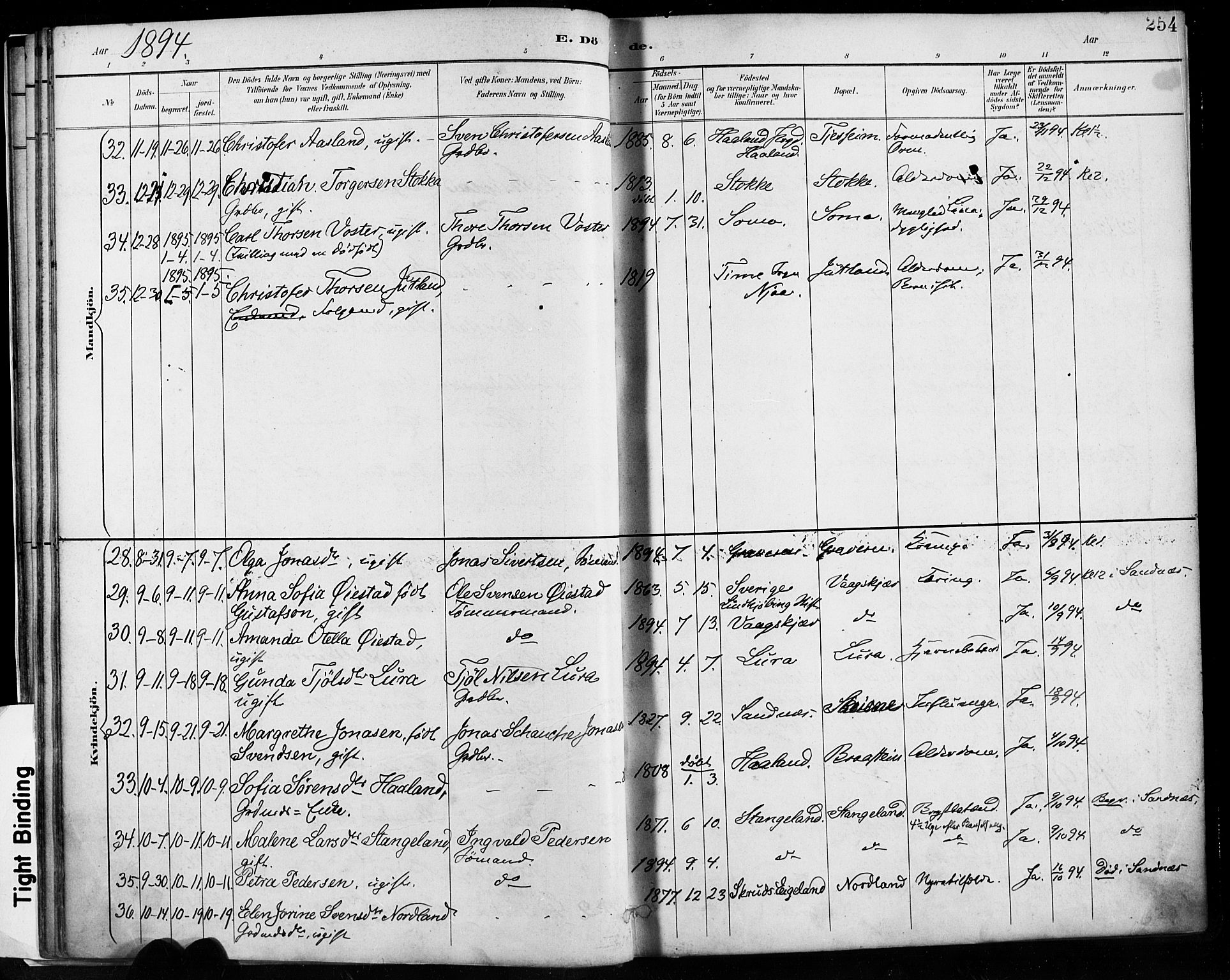 Høyland sokneprestkontor, AV/SAST-A-101799/001/30BA/L0013: Parish register (official) no. A 13.2, 1889-1898, p. 254