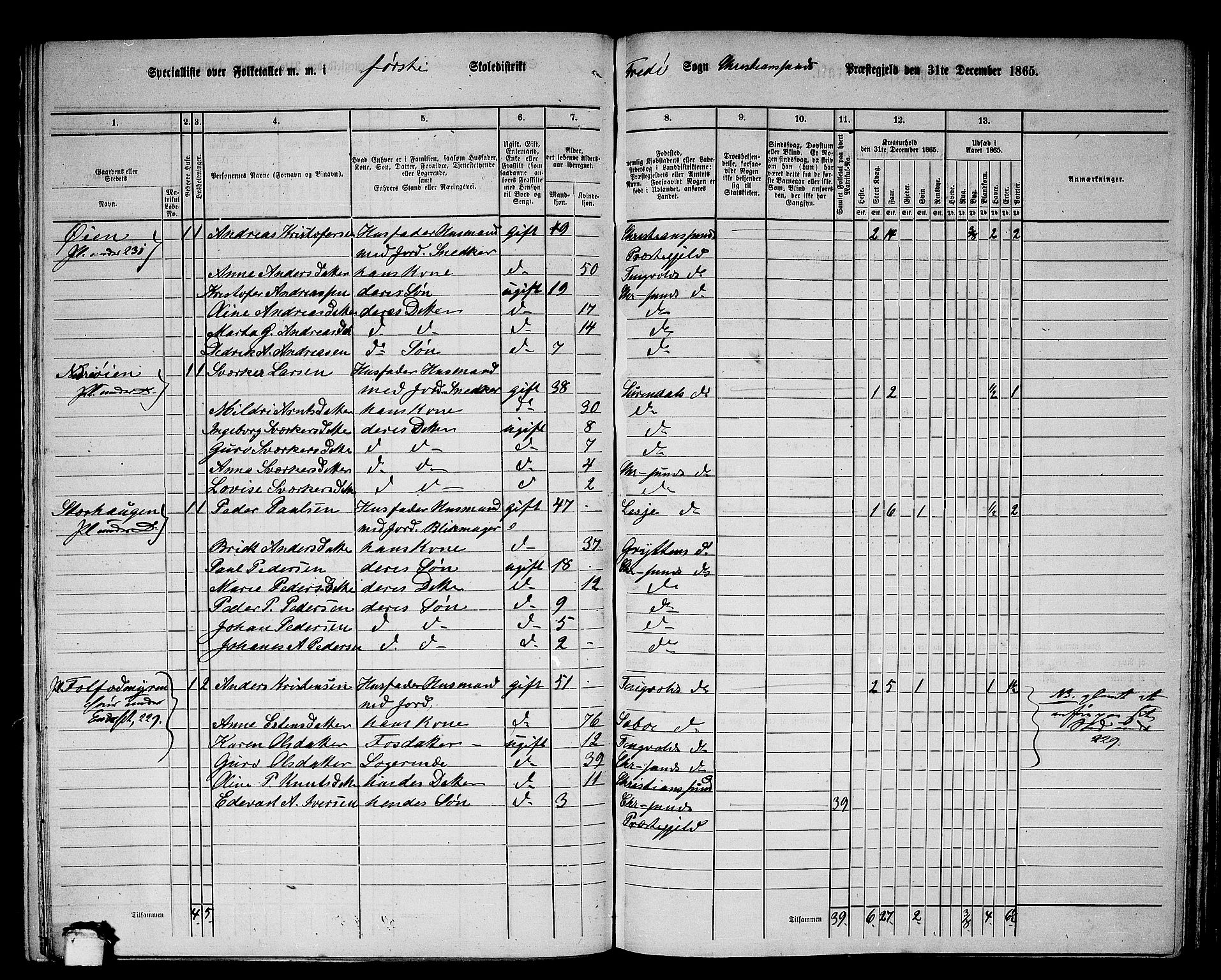 RA, 1865 census for Kristiansund/Frei og Grip, 1865, p. 15