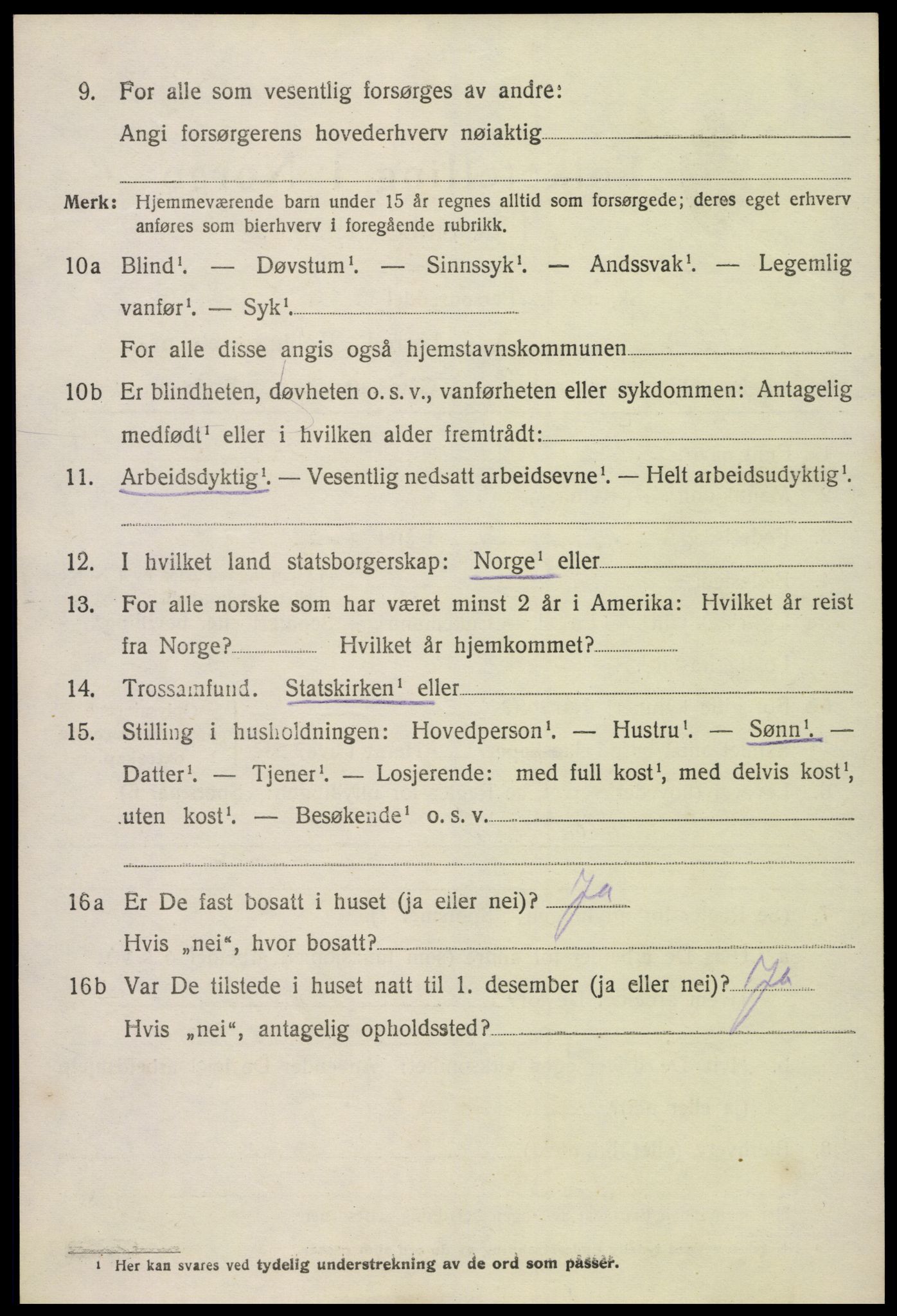 SAK, 1920 census for Hornnes, 1920, p. 948