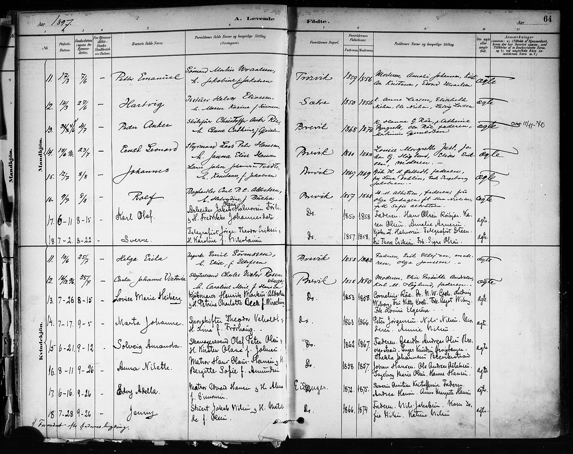 Brevik kirkebøker, AV/SAKO-A-255/F/Fa/L0007: Parish register (official) no. 7, 1882-1900, p. 64
