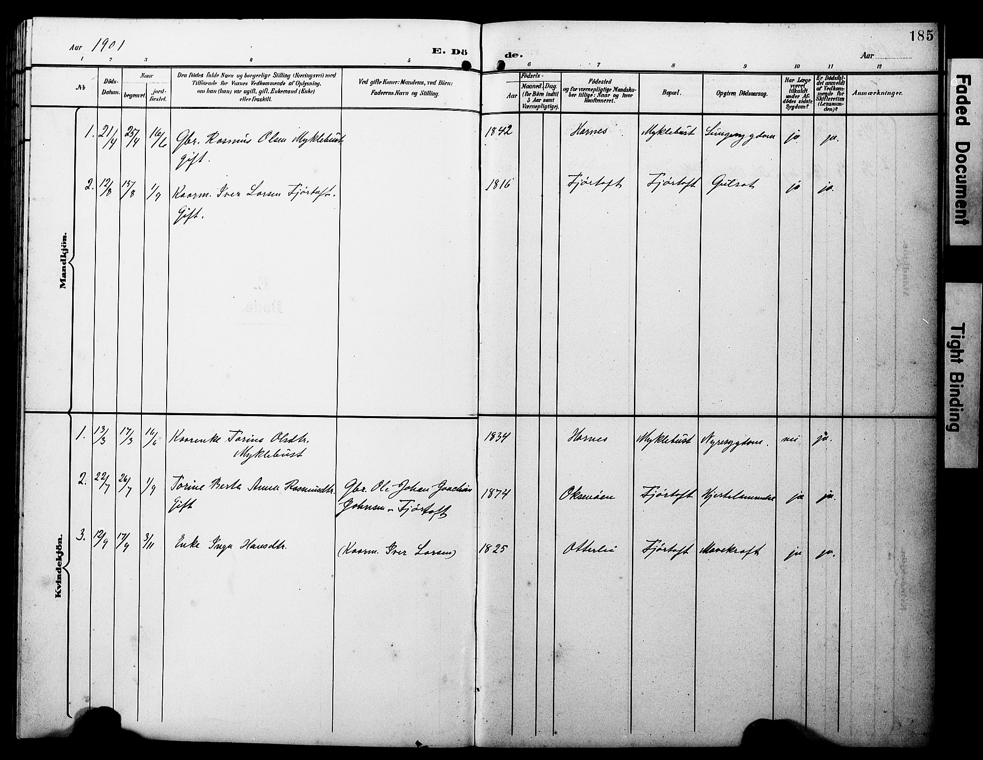 Ministerialprotokoller, klokkerbøker og fødselsregistre - Møre og Romsdal, AV/SAT-A-1454/538/L0524: Parish register (copy) no. 538C02, 1901-1931, p. 185