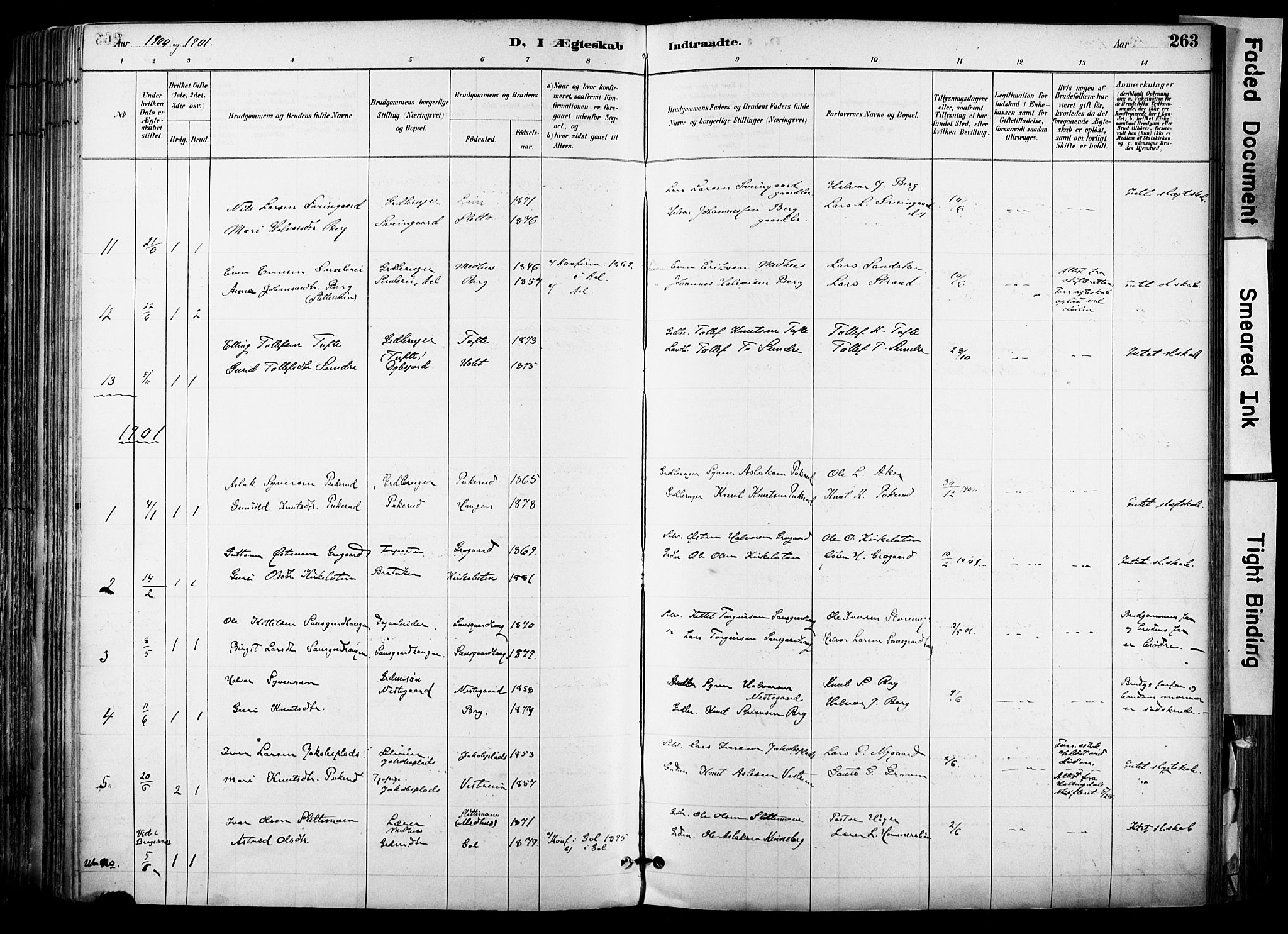 Hol kirkebøker, AV/SAKO-A-227/F/Fa/L0003: Parish register (official) no. I 3, 1887-1918, p. 263