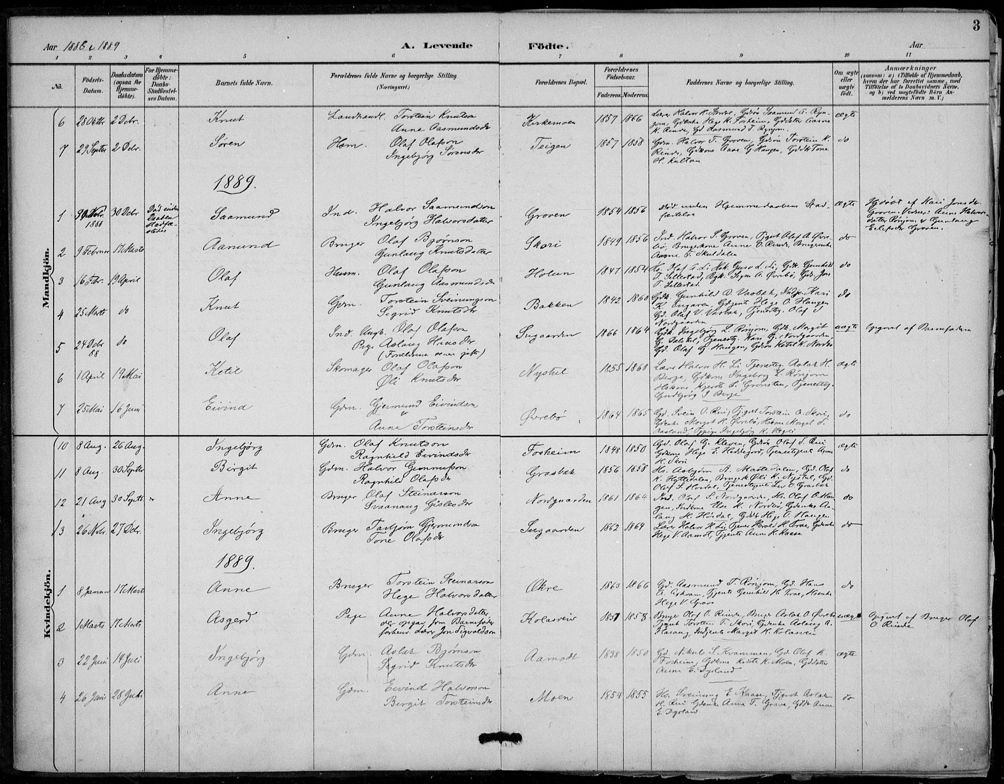 Seljord kirkebøker, SAKO/A-20/F/Fc/L0002: Parish register (official) no. III 2, 1887-1920, p. 3