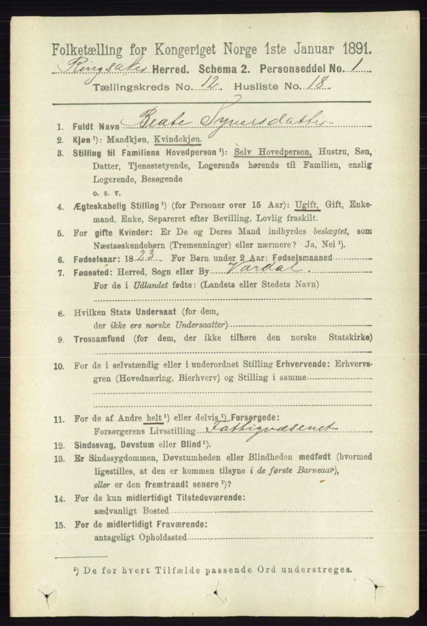 RA, 1891 census for 0412 Ringsaker, 1891, p. 6847