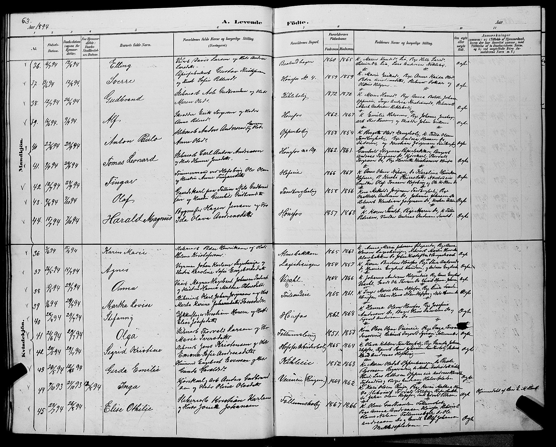 Hønefoss kirkebøker, AV/SAKO-A-609/G/Ga/L0002: Parish register (copy) no. 2, 1888-1904, p. 63