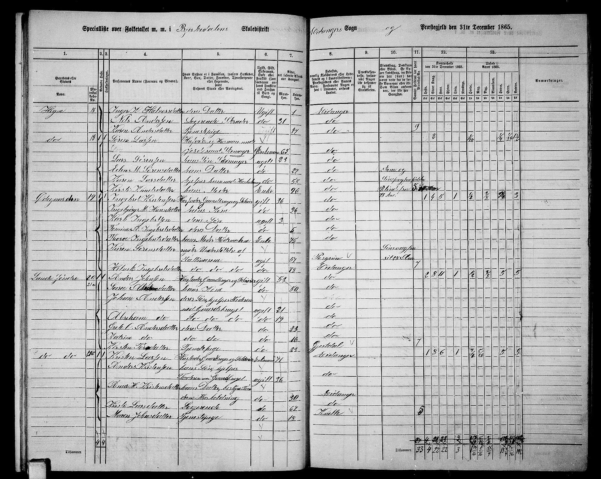 RA, 1865 census for Eidanger, 1865, p. 15