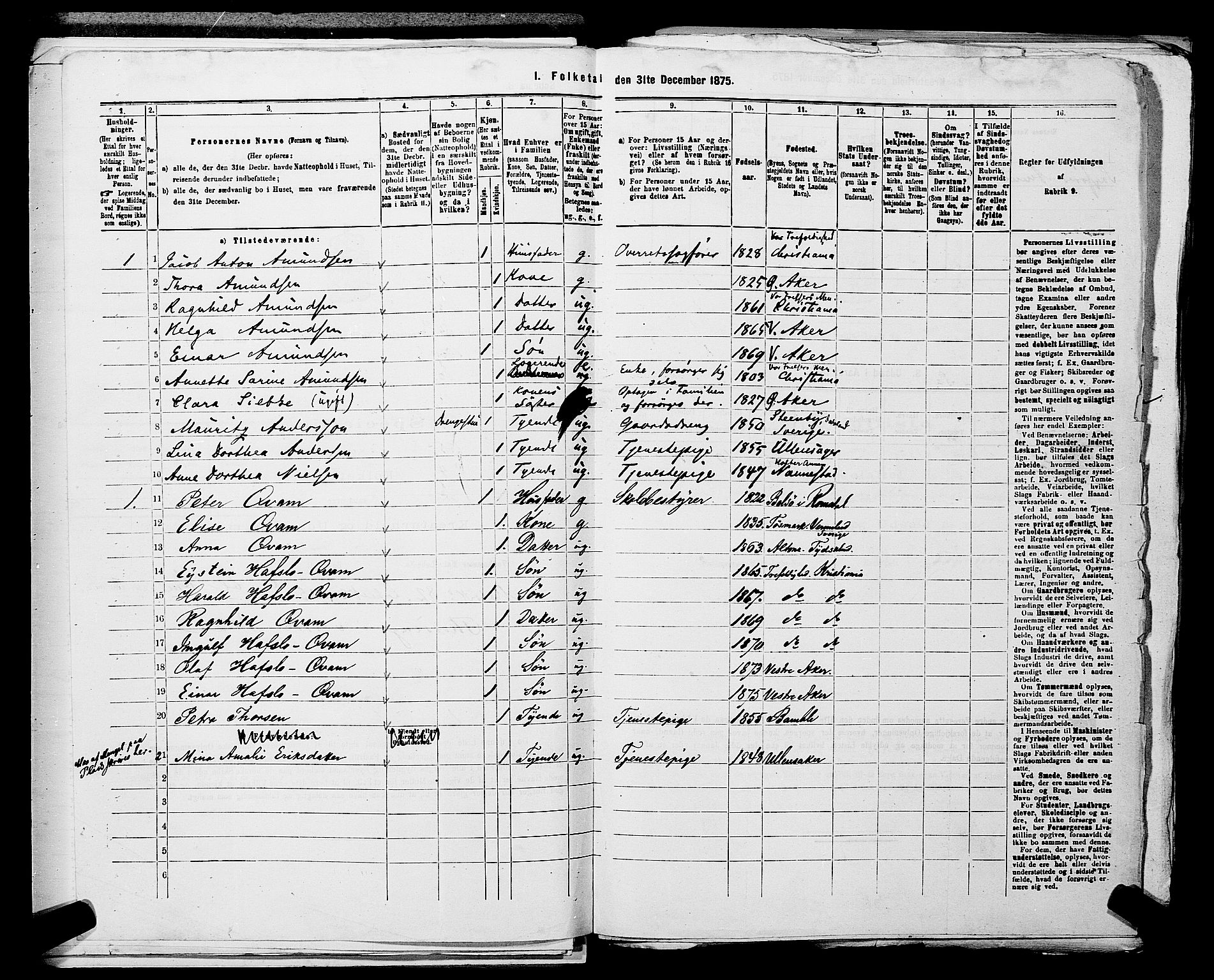 RA, 1875 census for 0218aP Vestre Aker, 1875, p. 1336