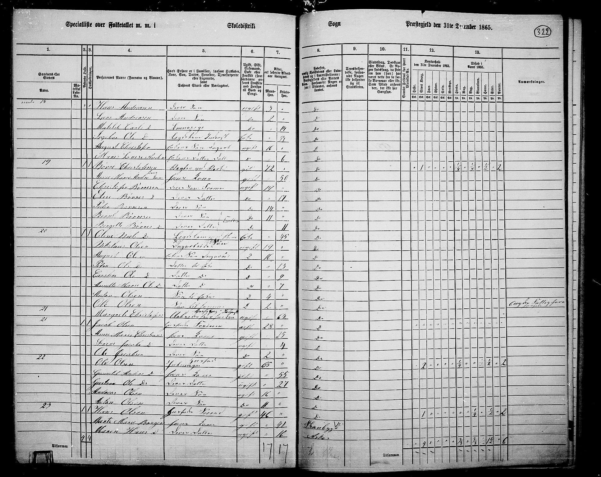 RA, 1865 census for Asker, 1865, p. 311