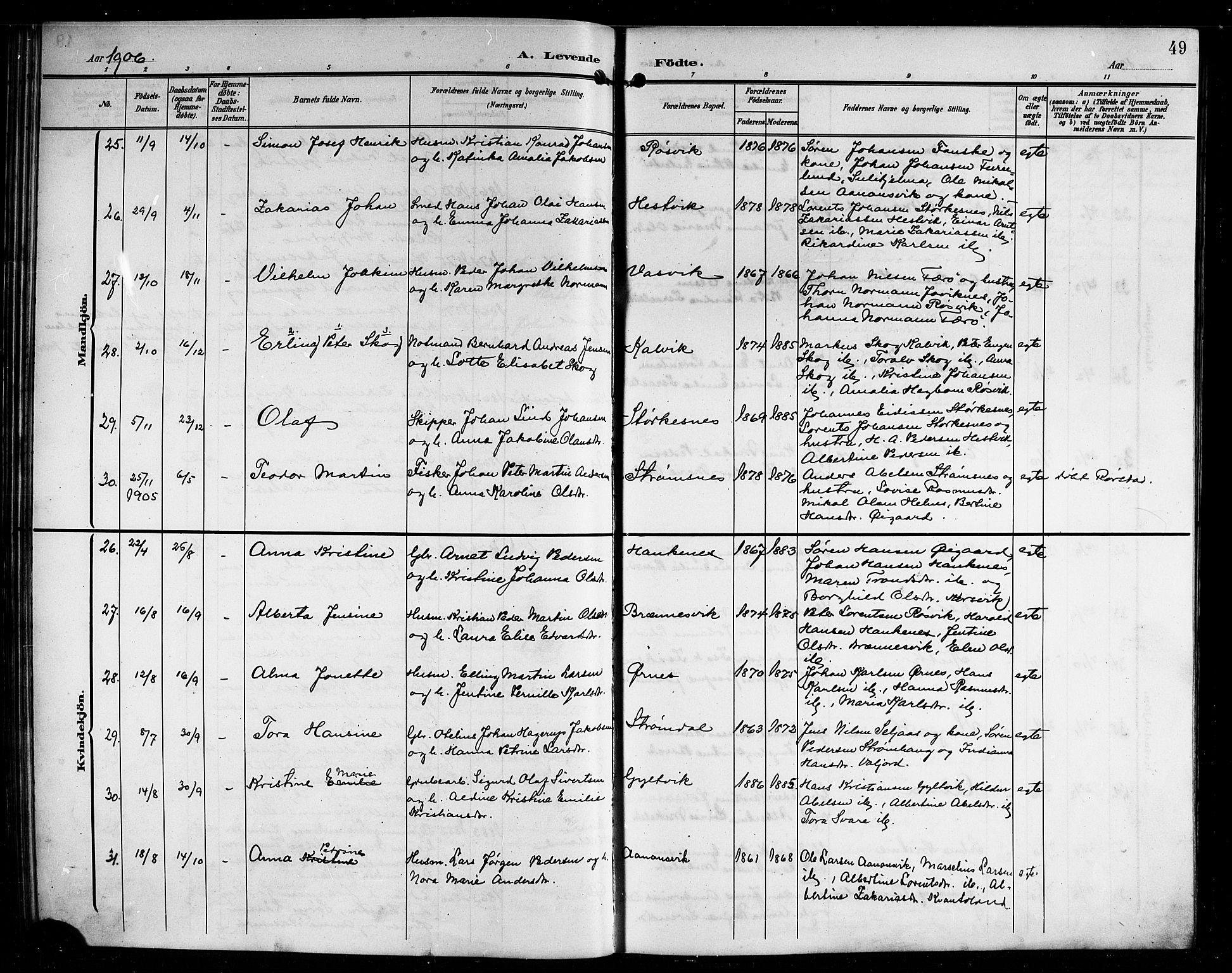 Ministerialprotokoller, klokkerbøker og fødselsregistre - Nordland, AV/SAT-A-1459/854/L0786: Parish register (copy) no. 854C02, 1901-1912, p. 49