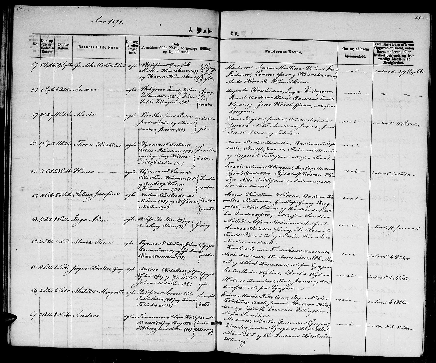 Dypvåg sokneprestkontor, AV/SAK-1111-0007/F/Fb/Fba/L0012: Parish register (copy) no. B 12, 1872-1886, p. 64-65