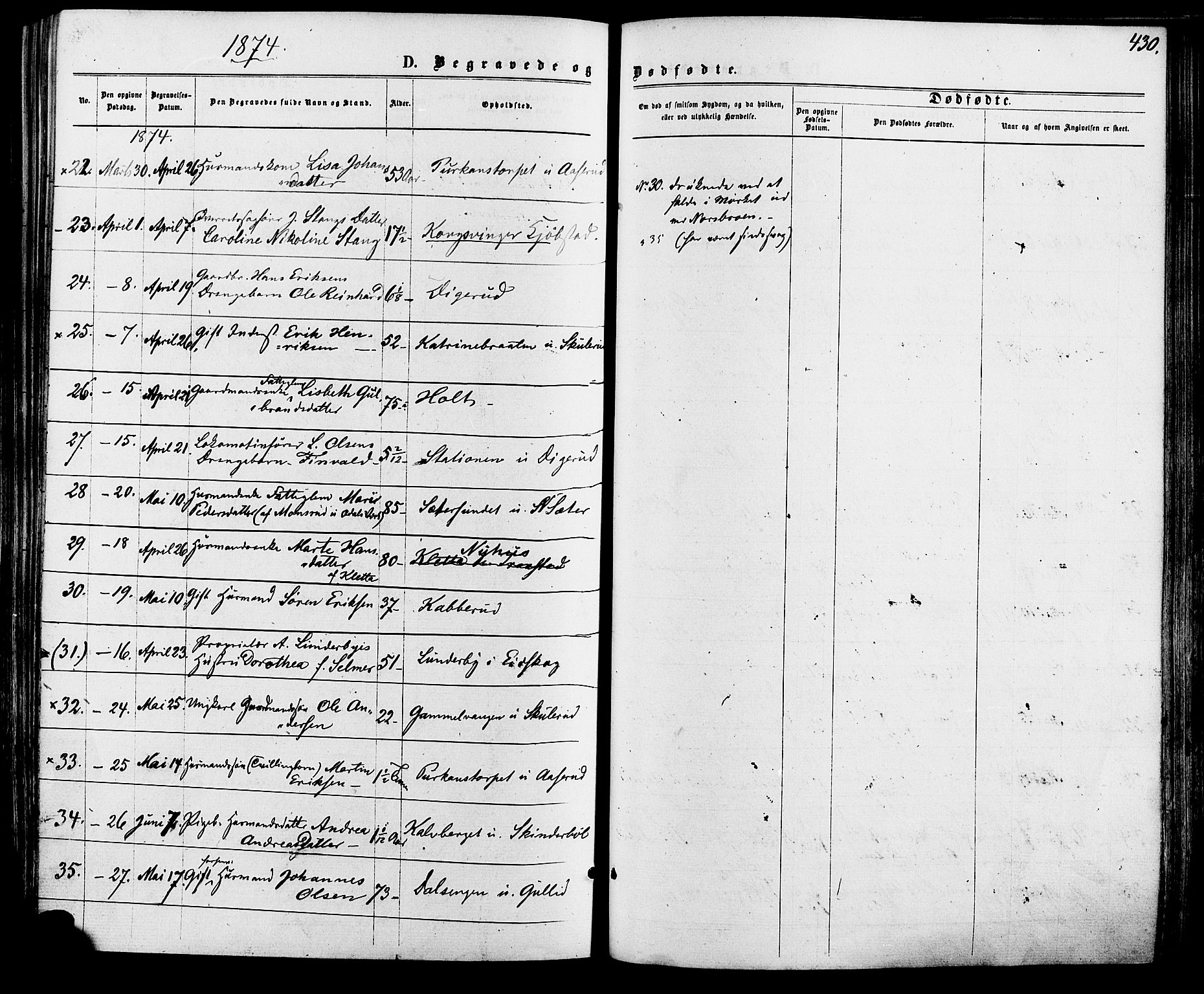 Vinger prestekontor, AV/SAH-PREST-024/H/Ha/Haa/L0012: Parish register (official) no. 12, 1871-1880, p. 430