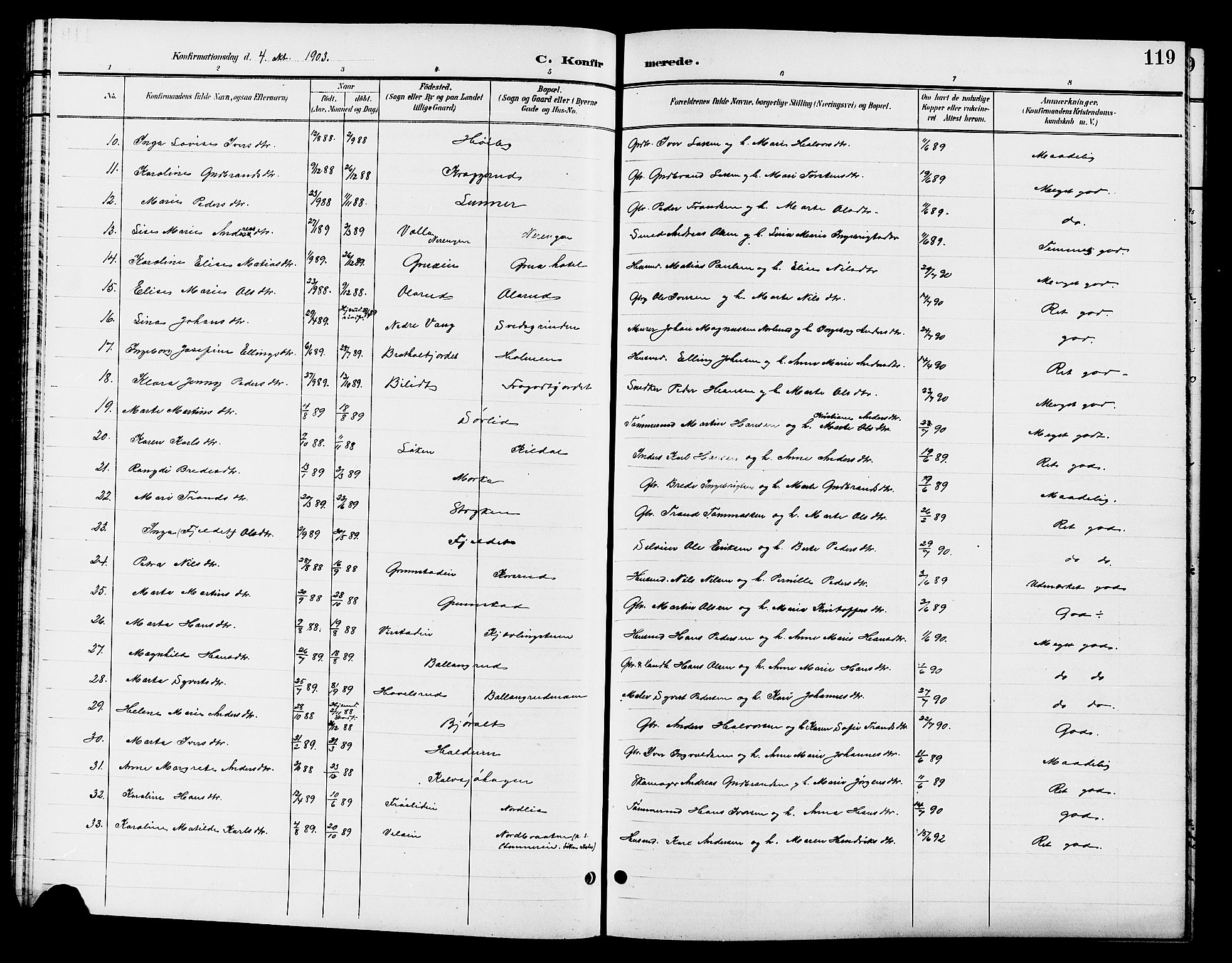 Jevnaker prestekontor, SAH/PREST-116/H/Ha/Hab/L0003: Parish register (copy) no. 3, 1896-1909, p. 119