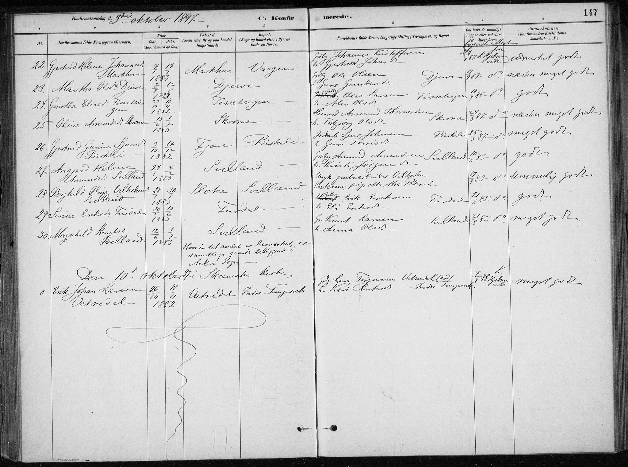 Skånevik sokneprestembete, AV/SAB-A-77801/H/Haa: Parish register (official) no. E  1, 1879-1901, p. 147