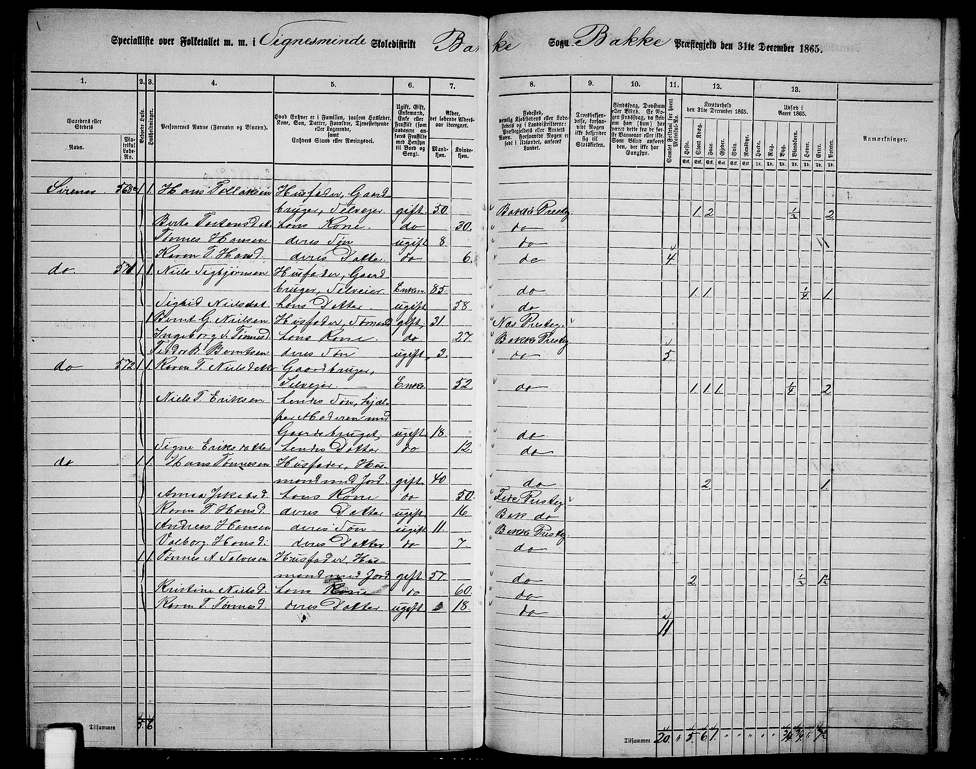 RA, 1865 census for Bakke, 1865, p. 105