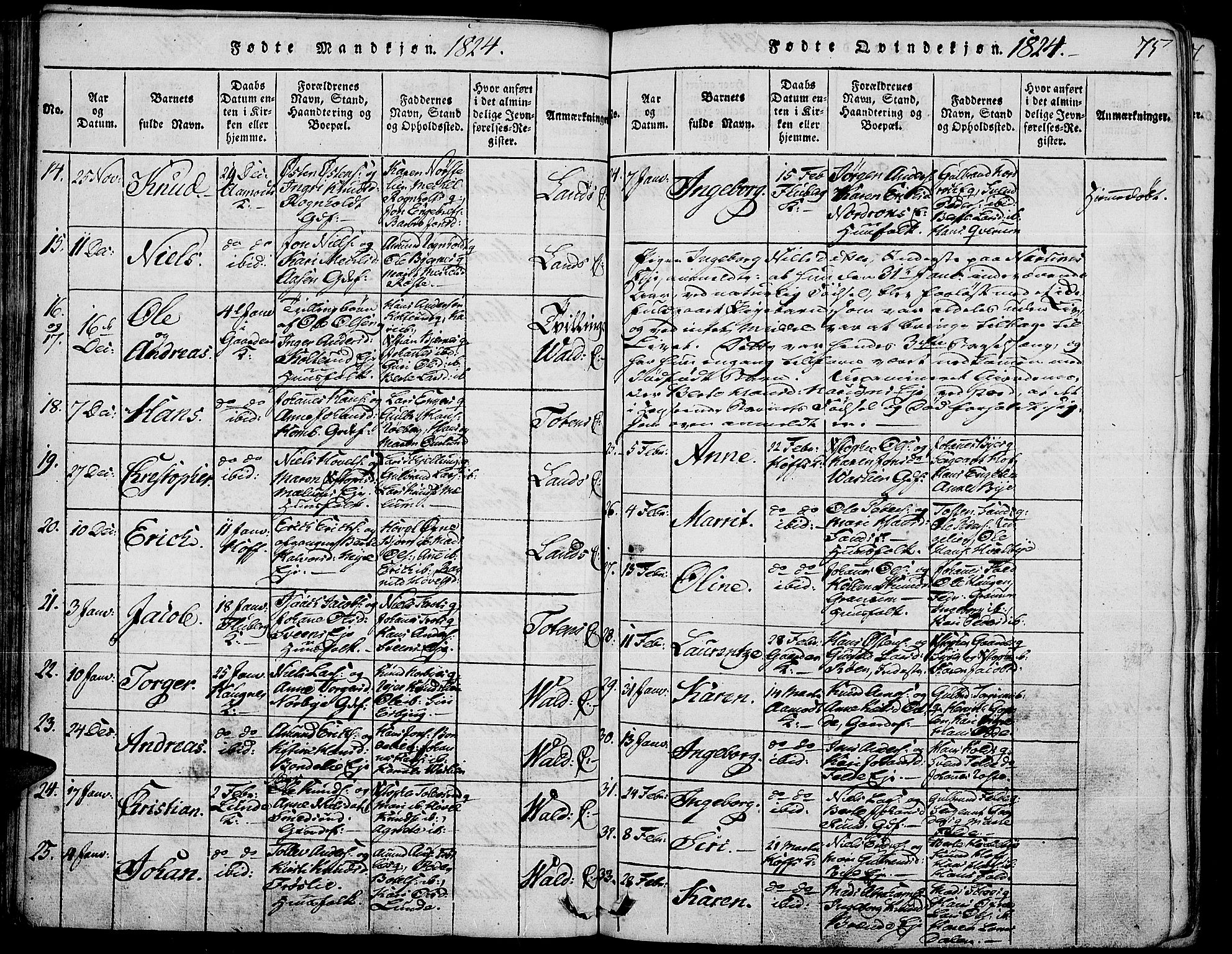 Land prestekontor, AV/SAH-PREST-120/H/Ha/Haa/L0007: Parish register (official) no. 7, 1814-1830, p. 75