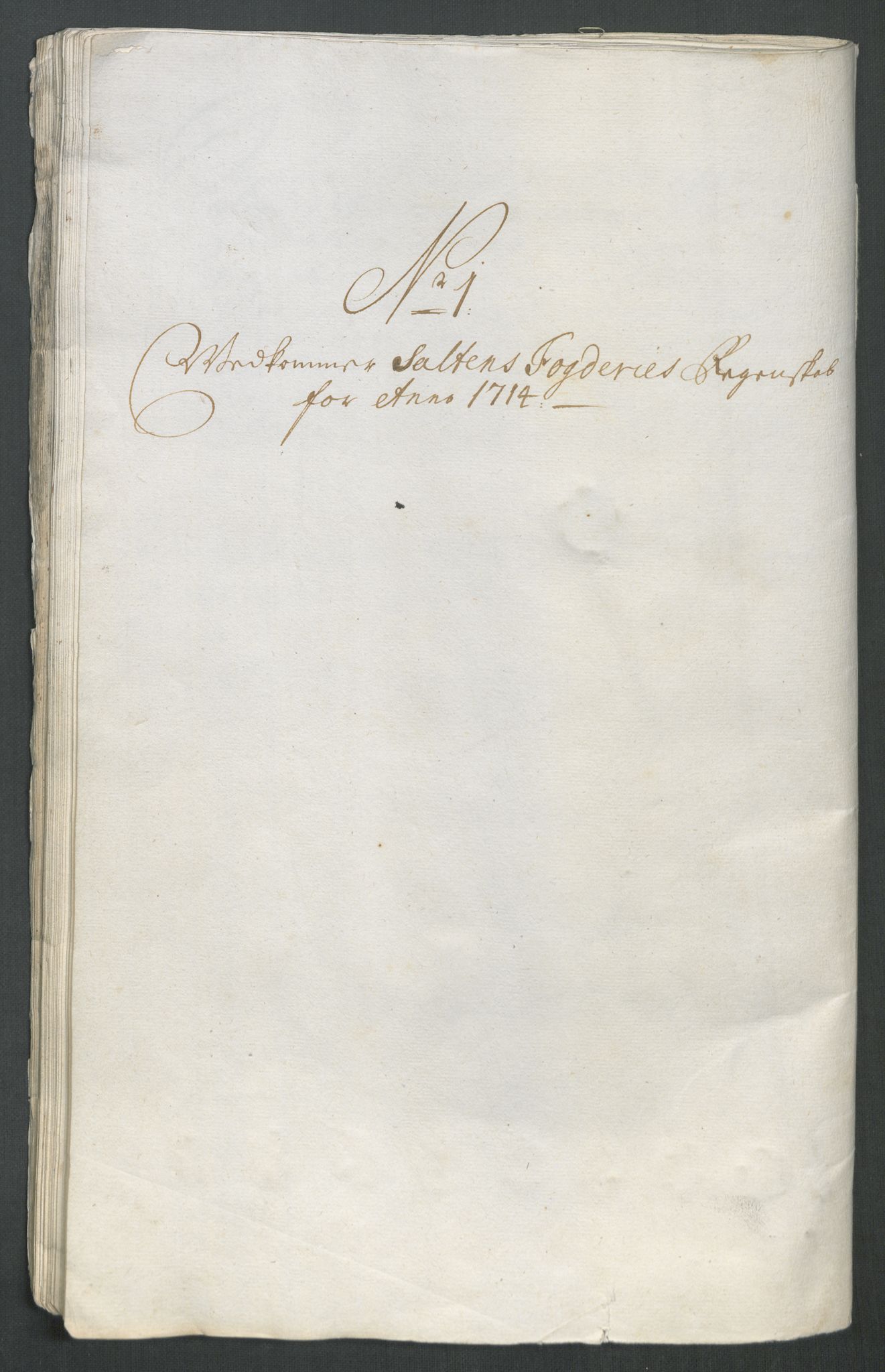 Rentekammeret inntil 1814, Reviderte regnskaper, Fogderegnskap, AV/RA-EA-4092/R66/L4584: Fogderegnskap Salten, 1714, p. 62