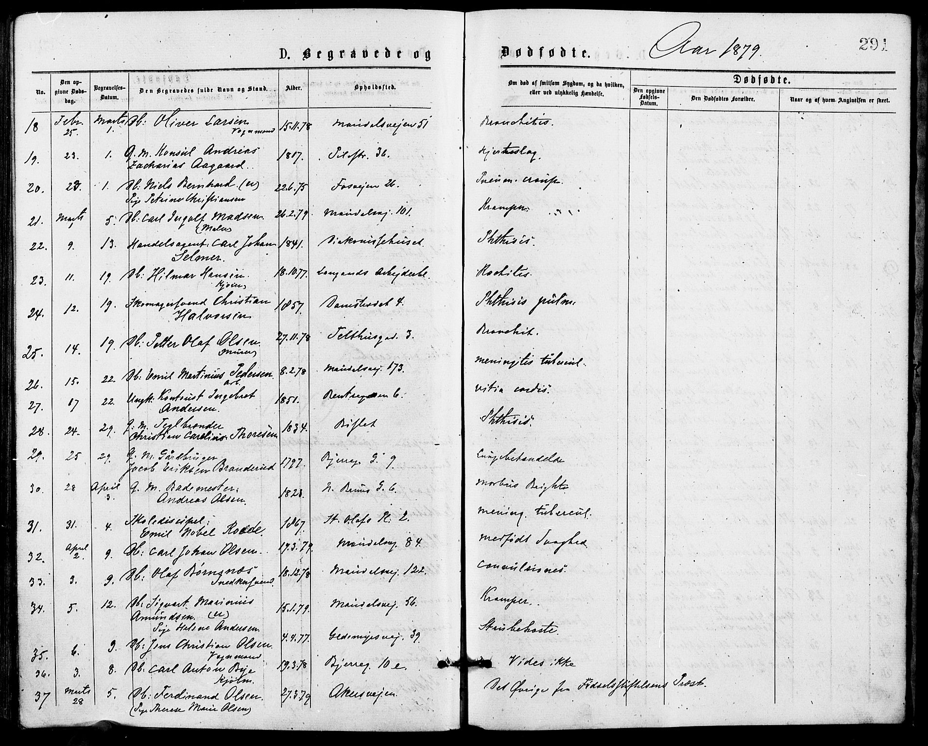 Gamle Aker prestekontor Kirkebøker, SAO/A-10617a/G/L0004: Parish register (copy) no. 4, 1875-1879, p. 291