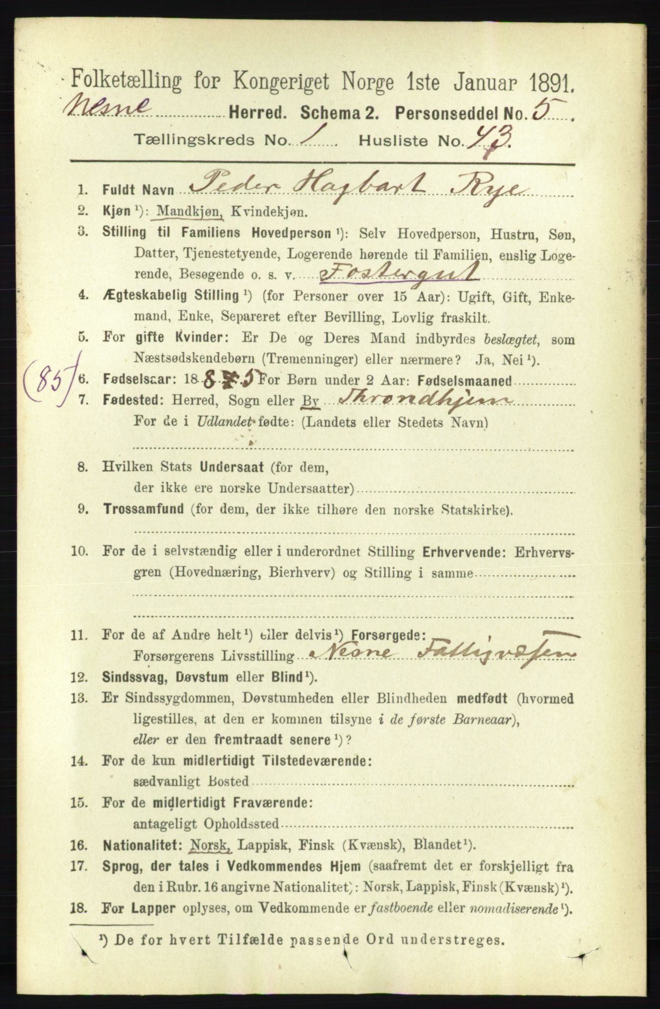 RA, 1891 census for 1828 Nesna, 1891, p. 352