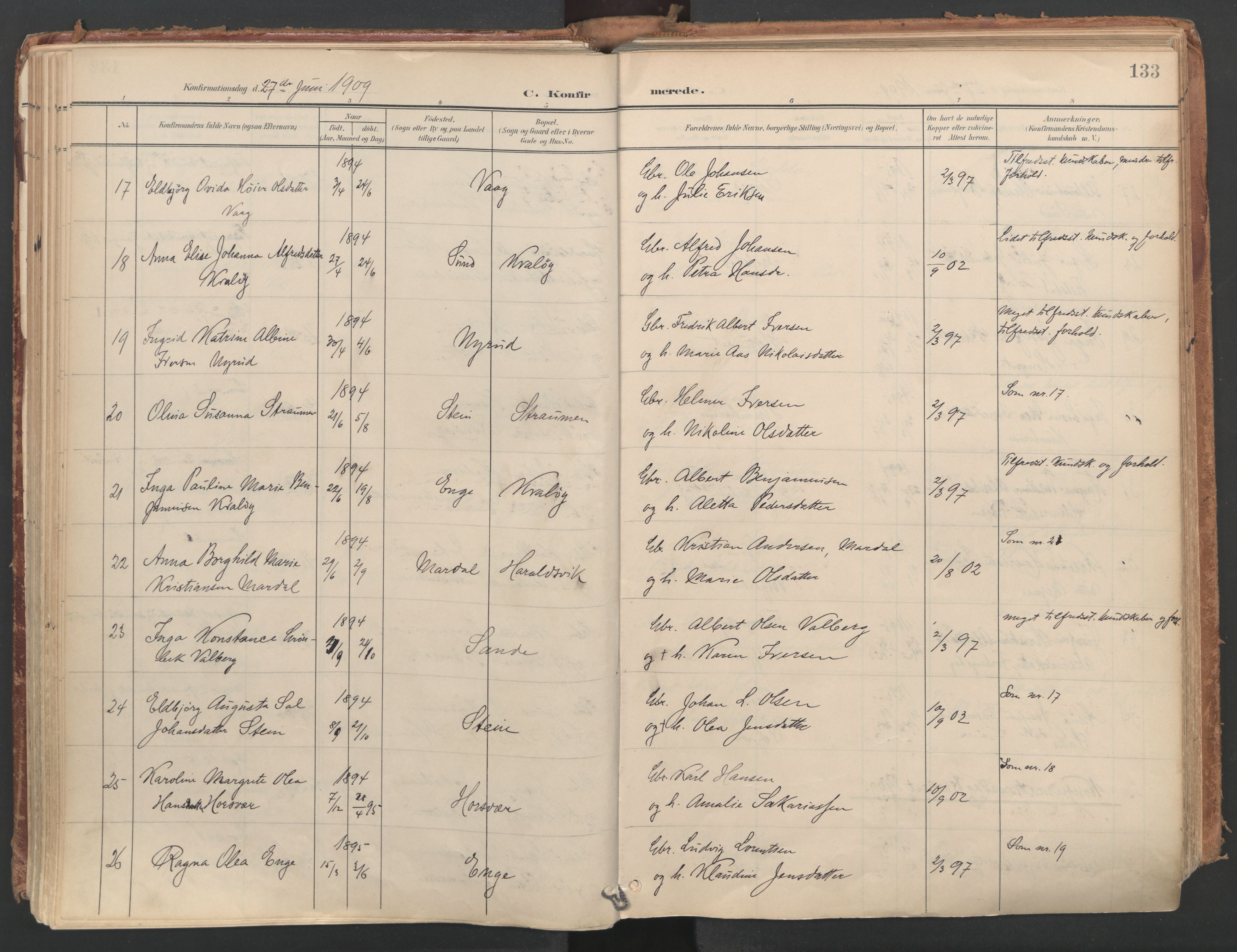 Ministerialprotokoller, klokkerbøker og fødselsregistre - Nordland, AV/SAT-A-1459/812/L0180: Parish register (official) no. 812A09, 1901-1915, p. 133