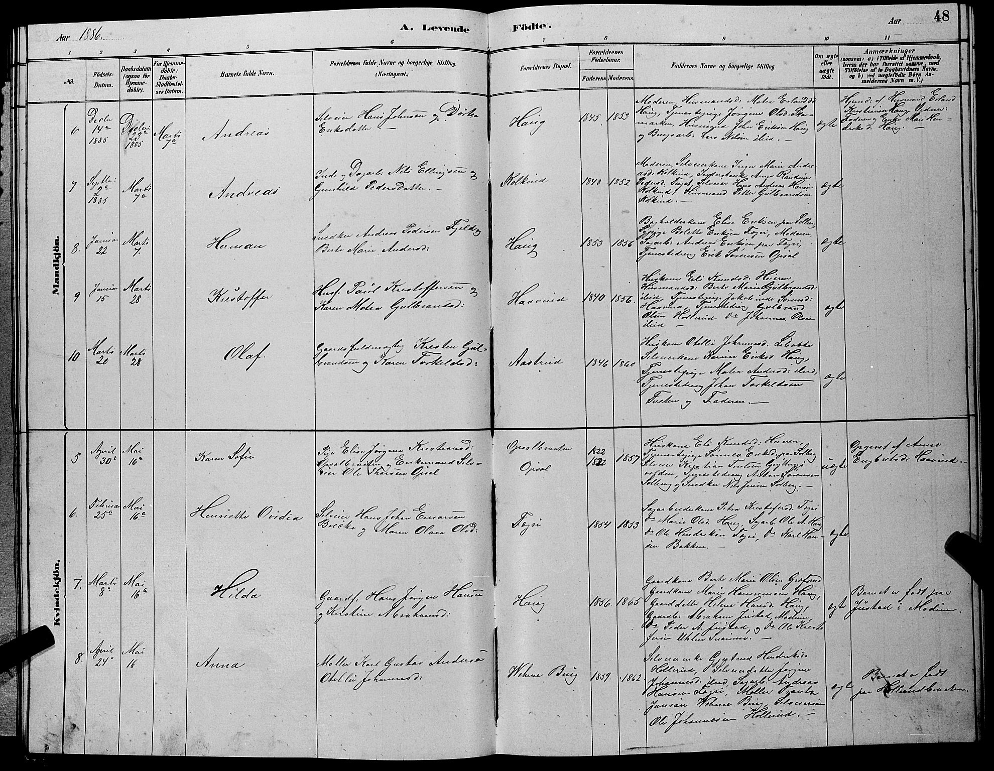 Hole kirkebøker, AV/SAKO-A-228/G/Gb/L0002: Parish register (copy) no. II 2, 1878-1889, p. 48