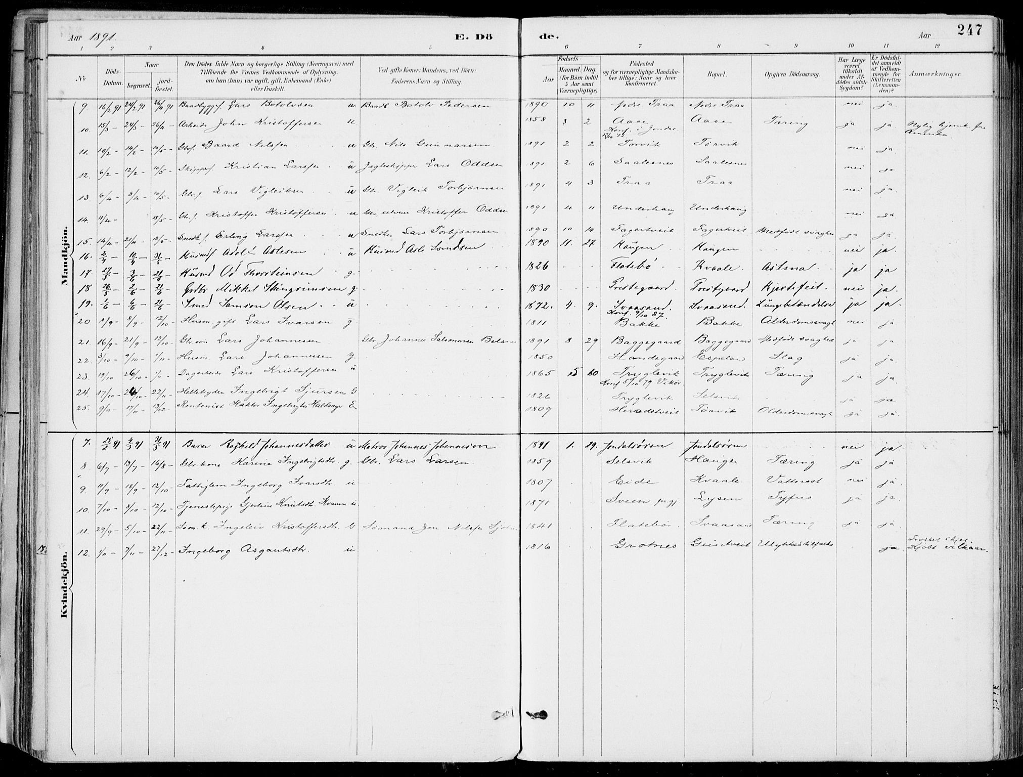 Strandebarm sokneprestembete, SAB/A-78401/H/Haa: Parish register (official) no. E  1, 1886-1908, p. 247