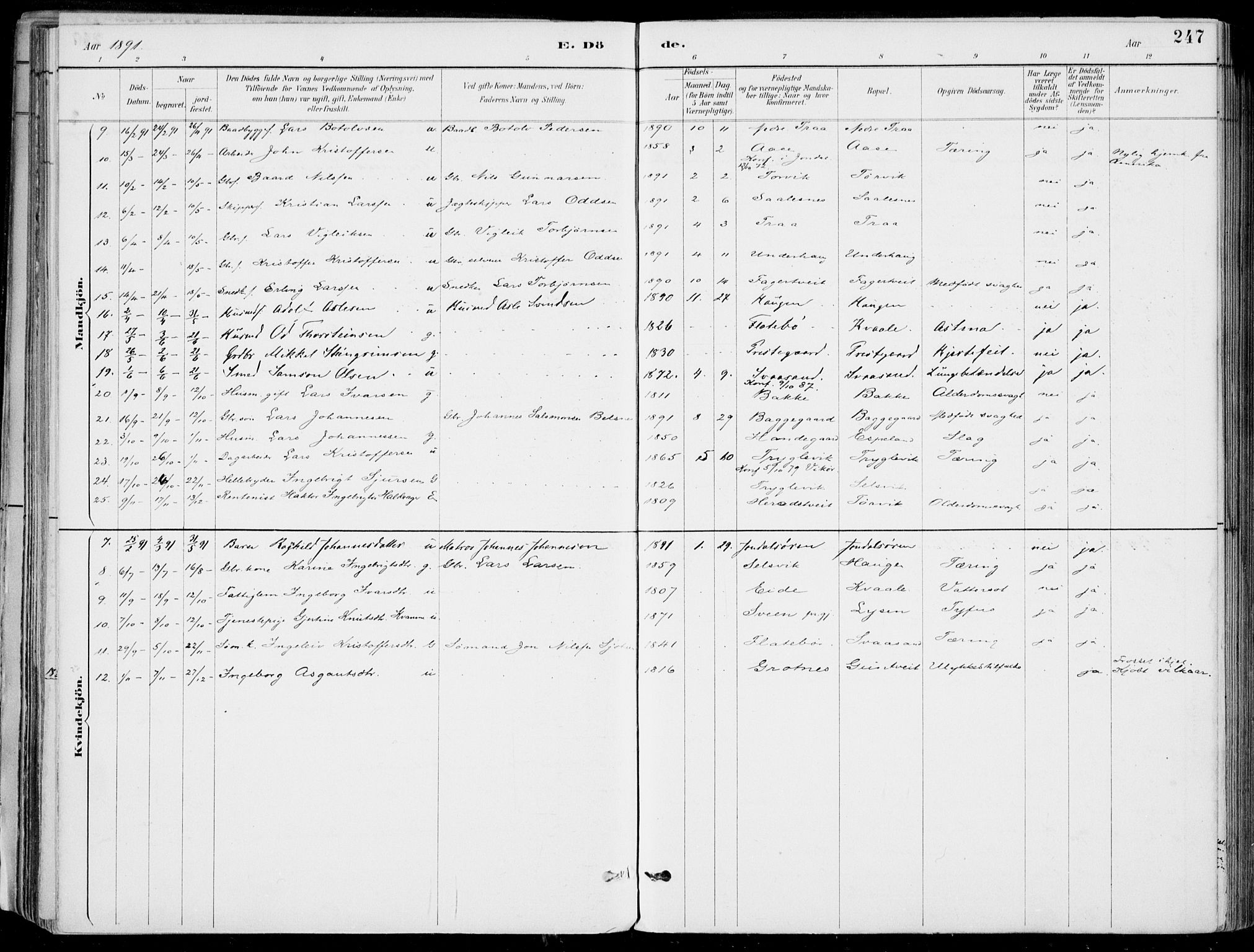 Strandebarm sokneprestembete, AV/SAB-A-78401/H/Haa: Parish register (official) no. E  1, 1886-1908, p. 247