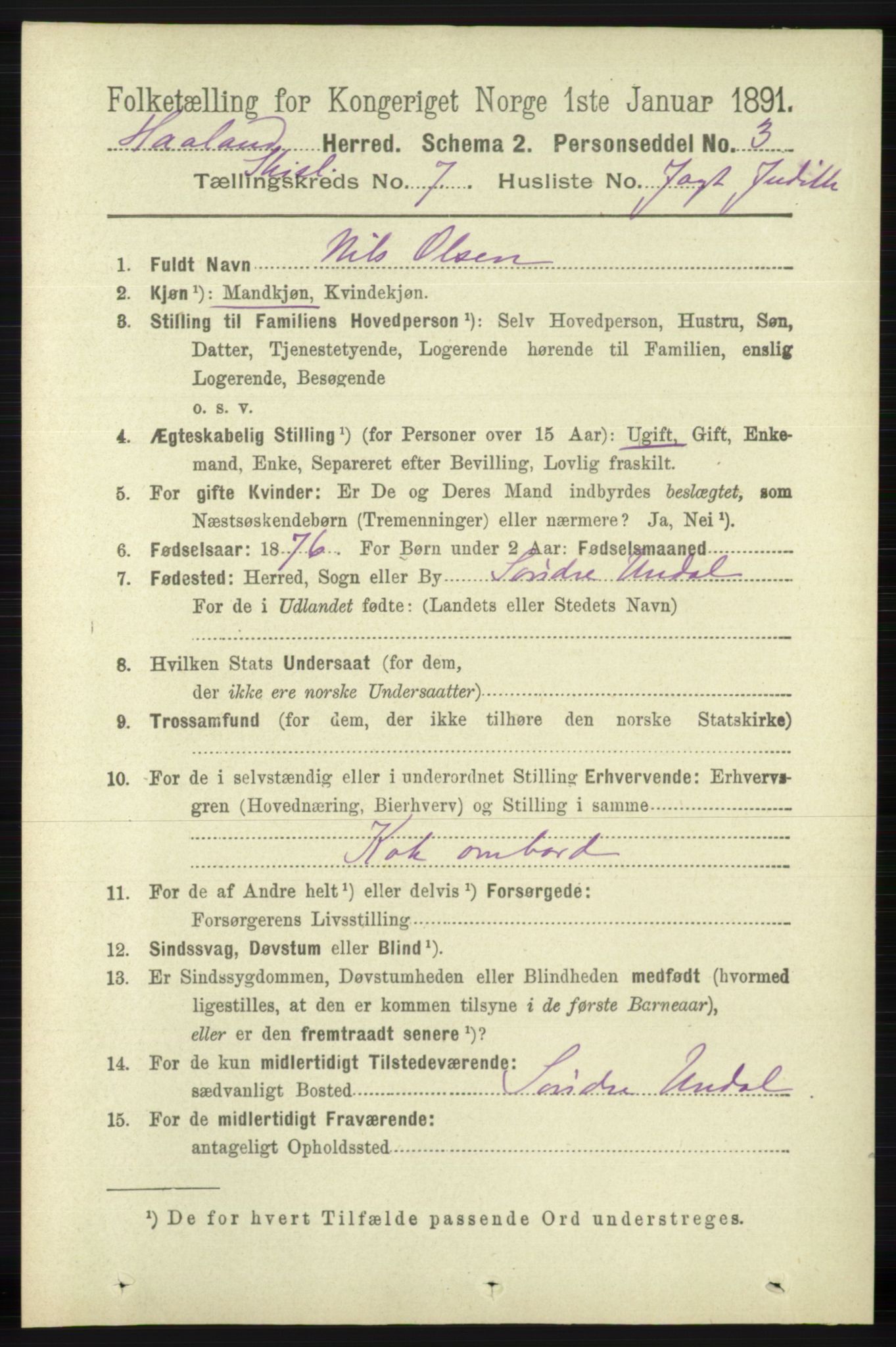 RA, 1891 census for 1124 Haaland, 1891, p. 4095