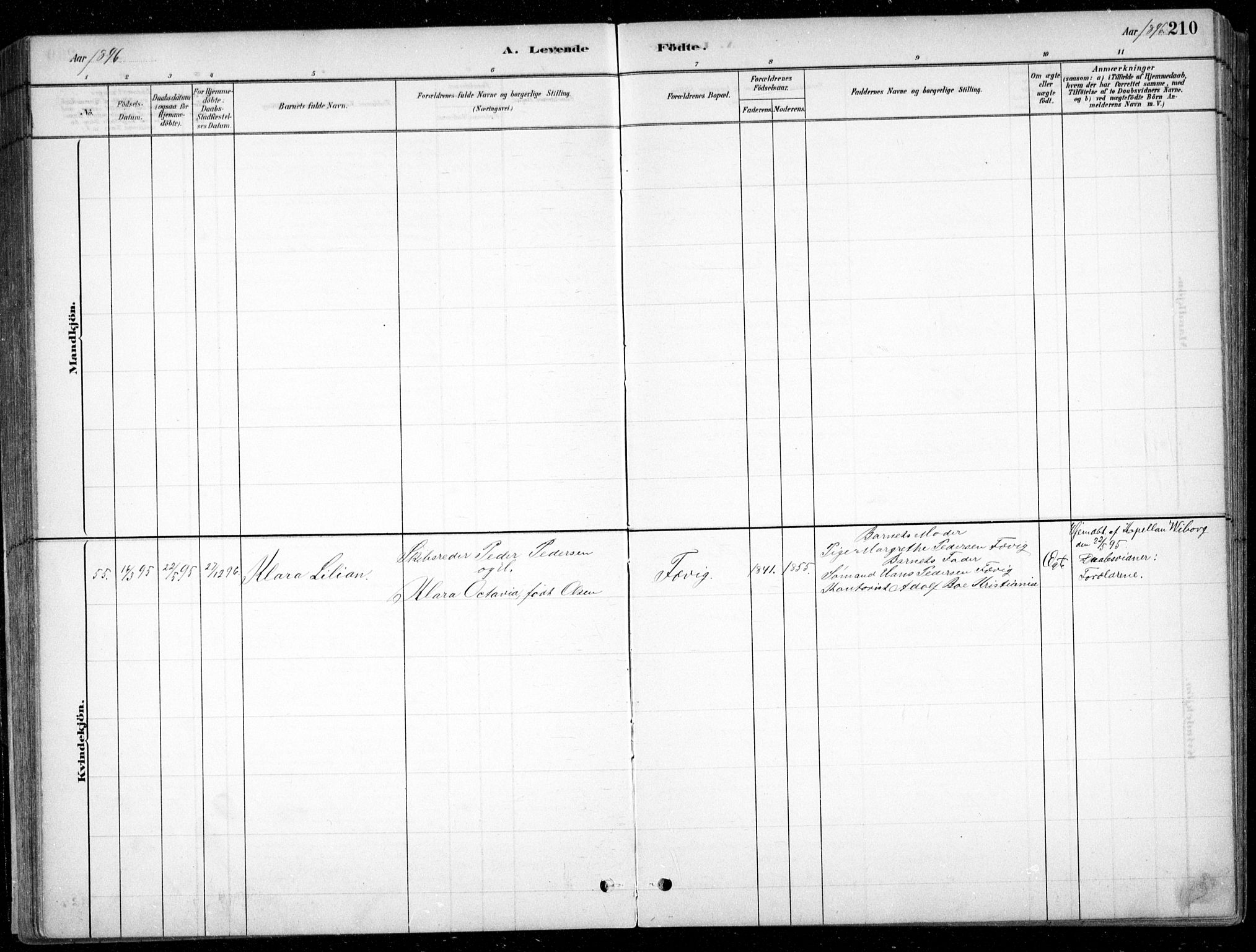 Fjære sokneprestkontor, AV/SAK-1111-0011/F/Fb/L0011: Parish register (copy) no. B 11, 1881-1905, p. 210