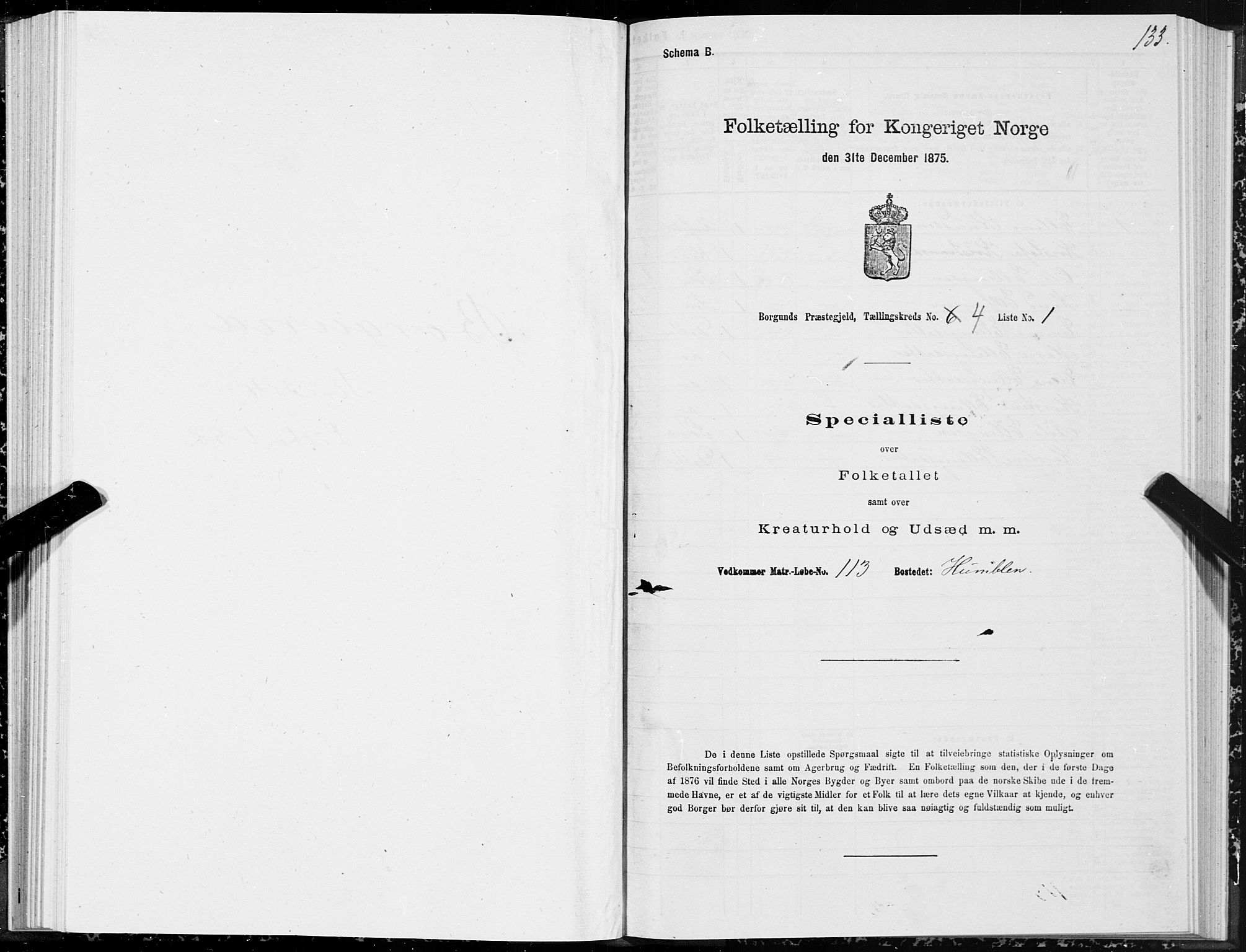 SAT, 1875 census for 1531P Borgund, 1875, p. 2133