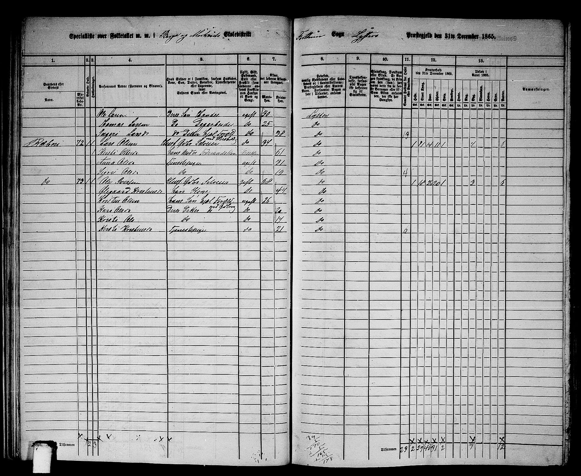 RA, 1865 census for Luster, 1865, p. 28