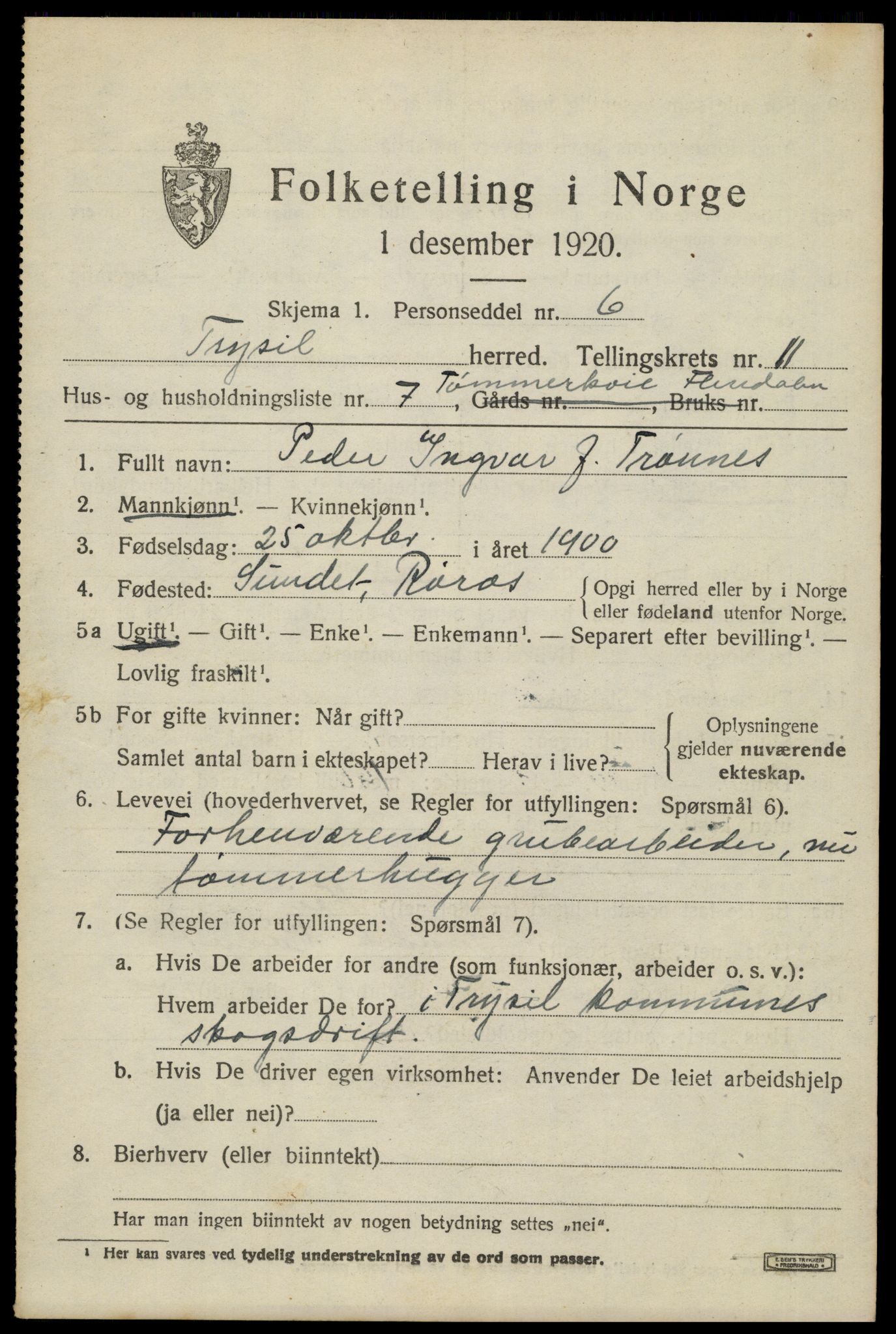 SAH, 1920 census for Trysil, 1920, p. 7045
