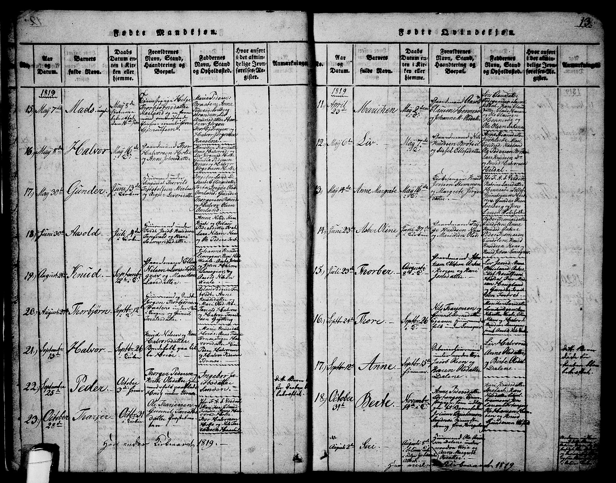 Drangedal kirkebøker, SAKO/A-258/G/Ga/L0001: Parish register (copy) no. I 1 /1, 1814-1856, p. 13
