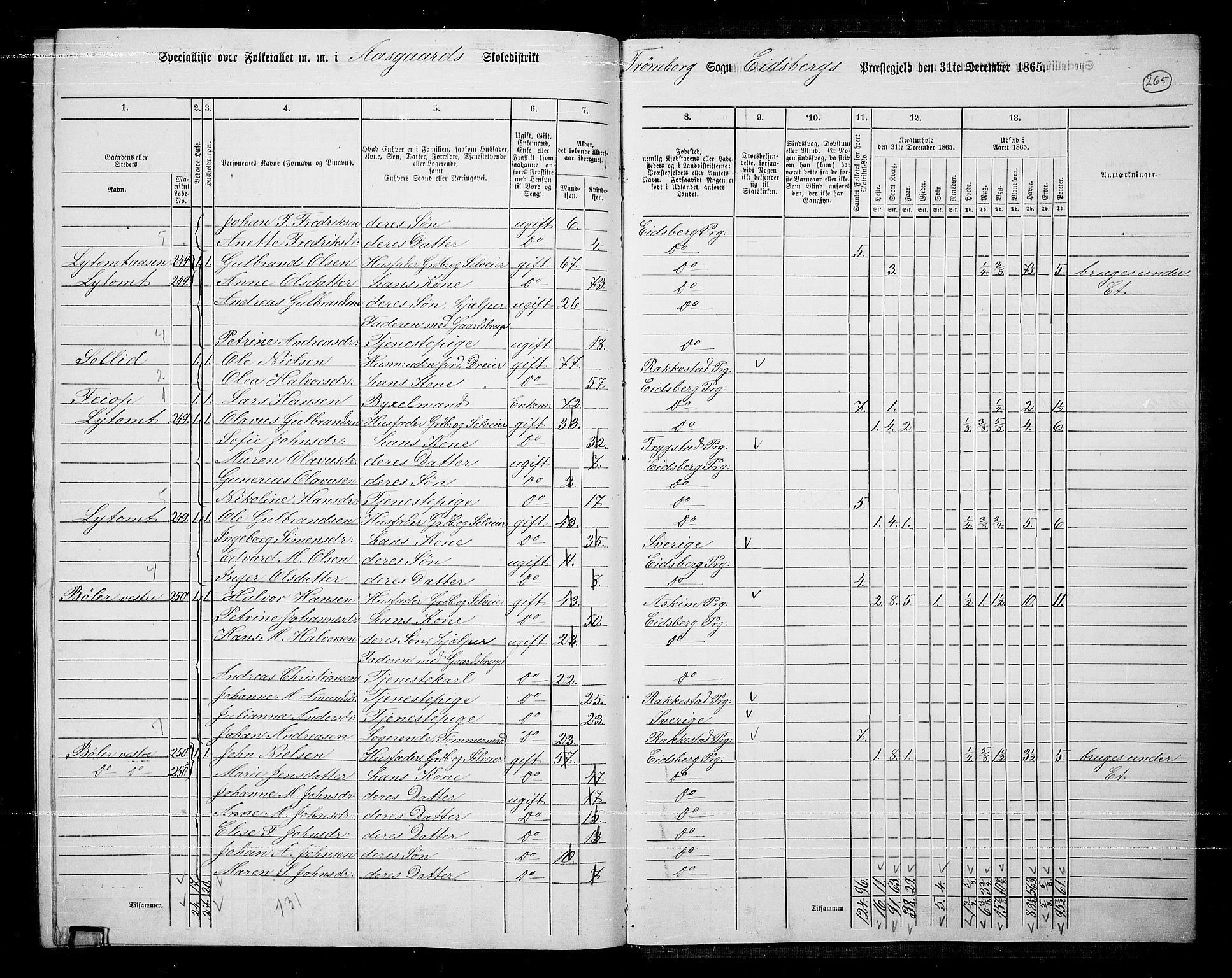 RA, 1865 census for Eidsberg, 1865, p. 241