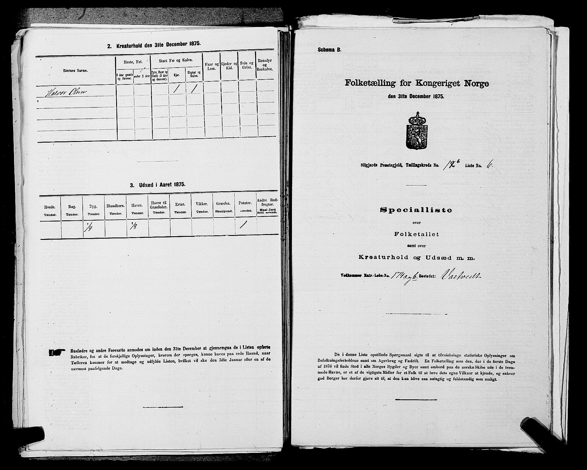 SAKO, 1875 census for 0828P Seljord, 1875, p. 1366