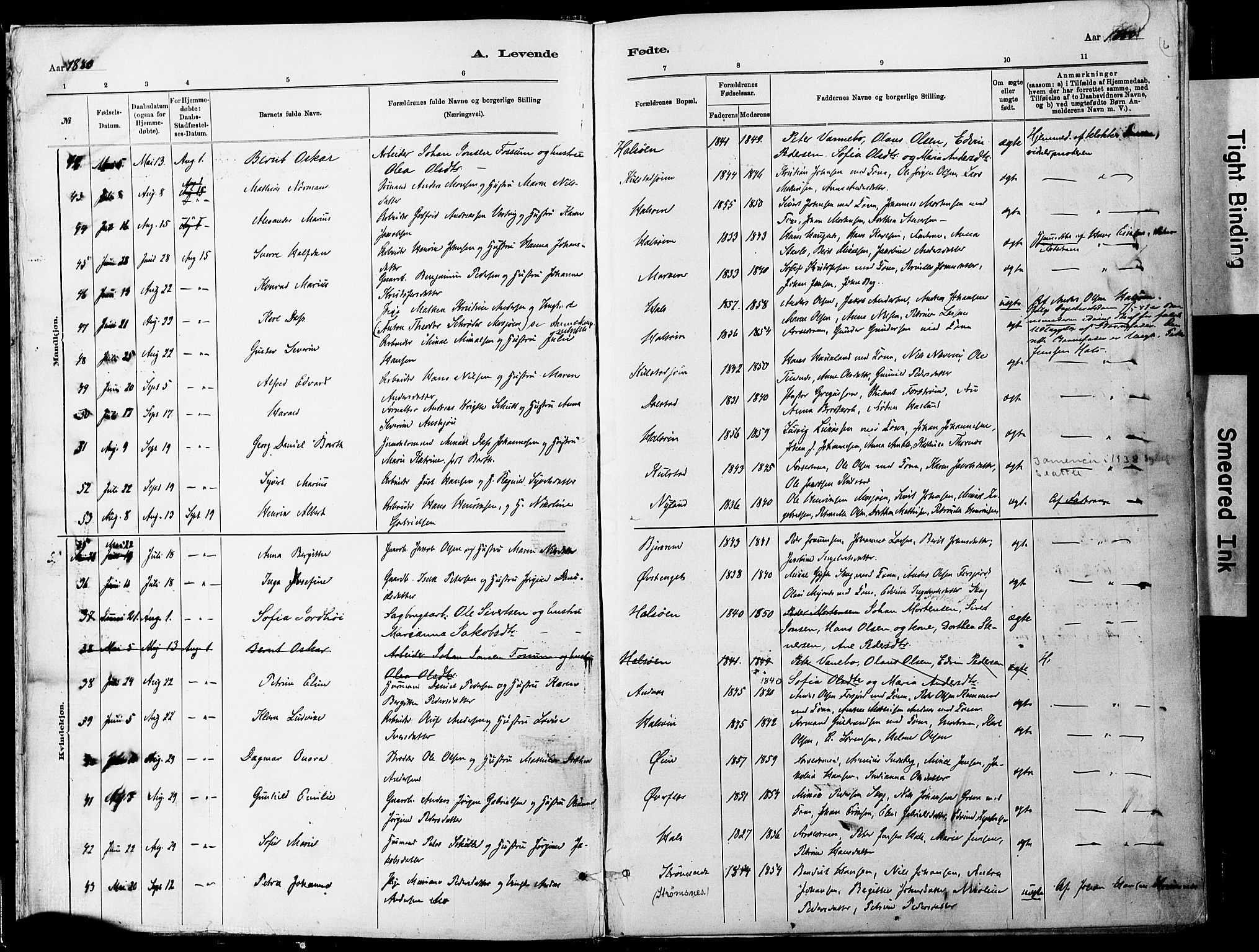 Ministerialprotokoller, klokkerbøker og fødselsregistre - Nordland, SAT/A-1459/820/L0295: Parish register (official) no. 820A16, 1880-1896, p. 6