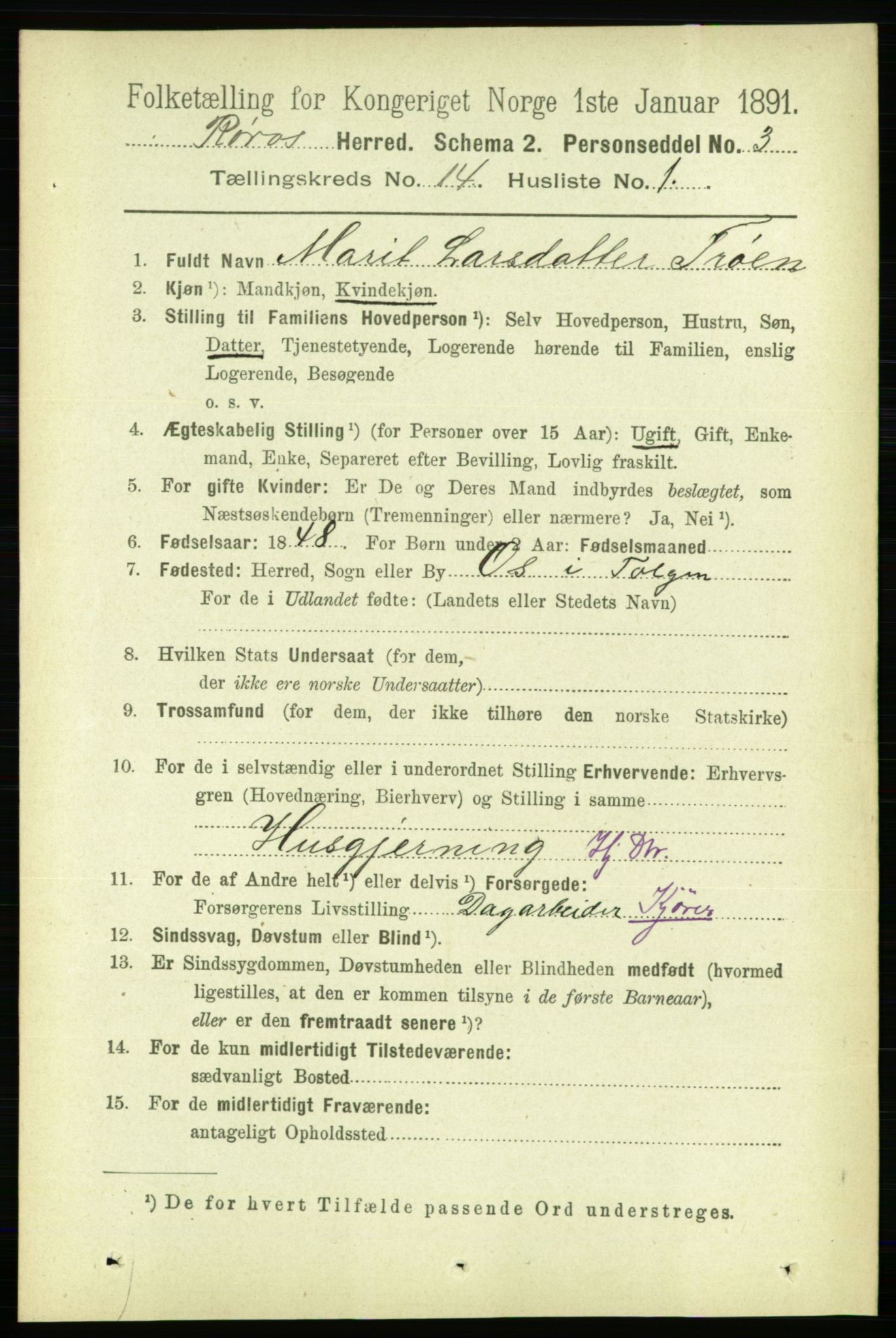 RA, 1891 census for 1640 Røros, 1891, p. 2879