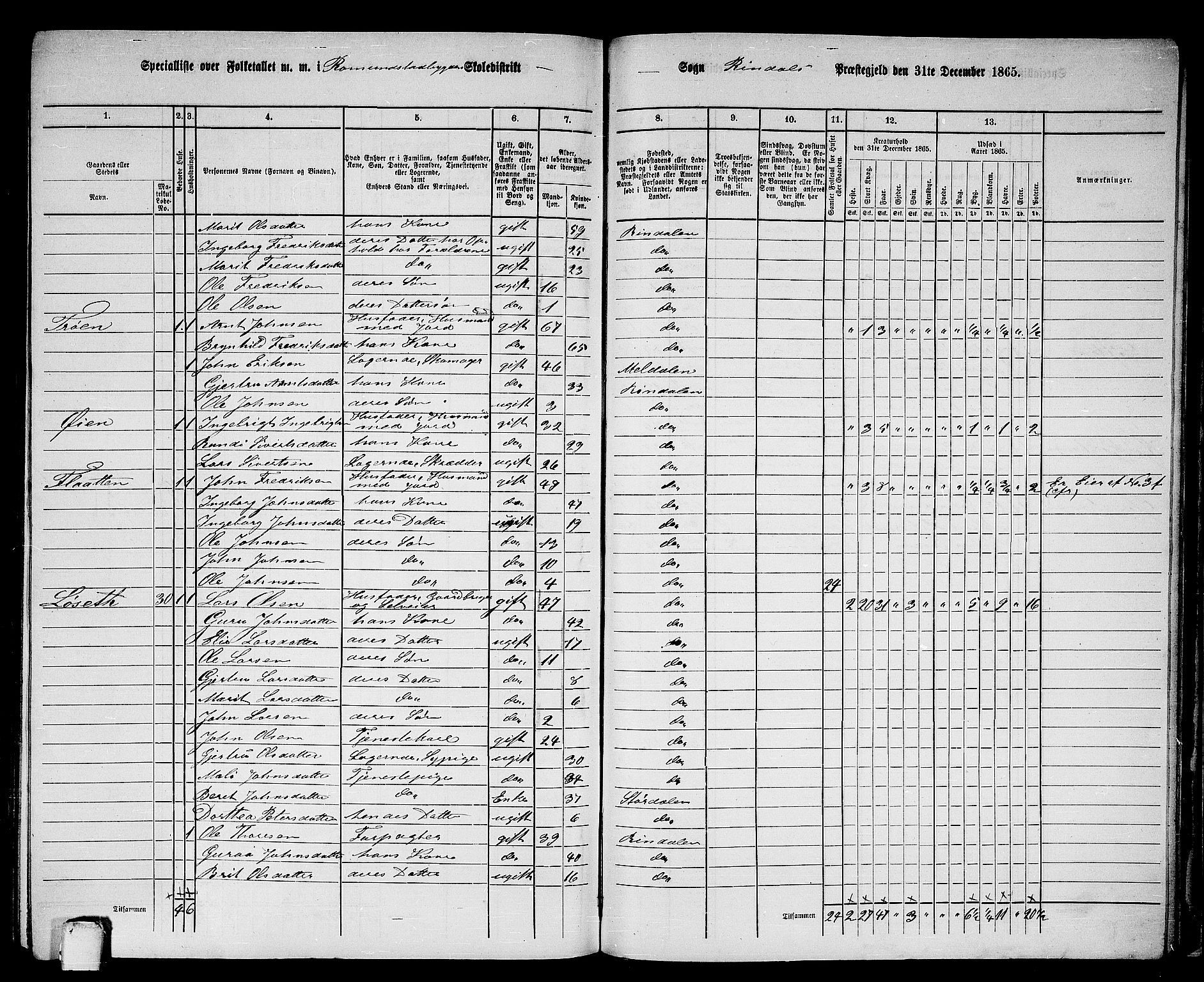 RA, 1865 census for Rindal, 1865, p. 87